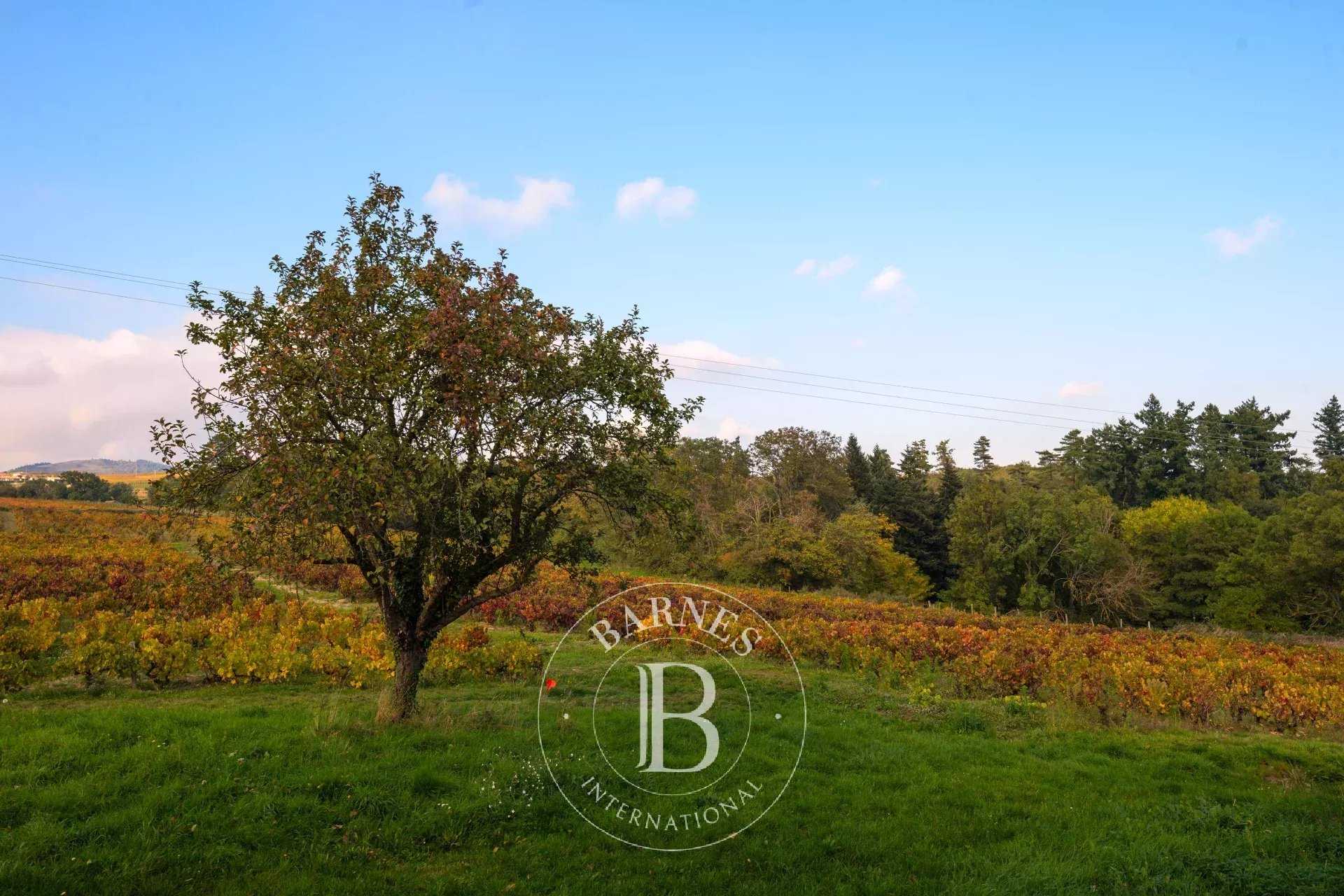 Villié-Morgon  - Casa 6 Cuartos