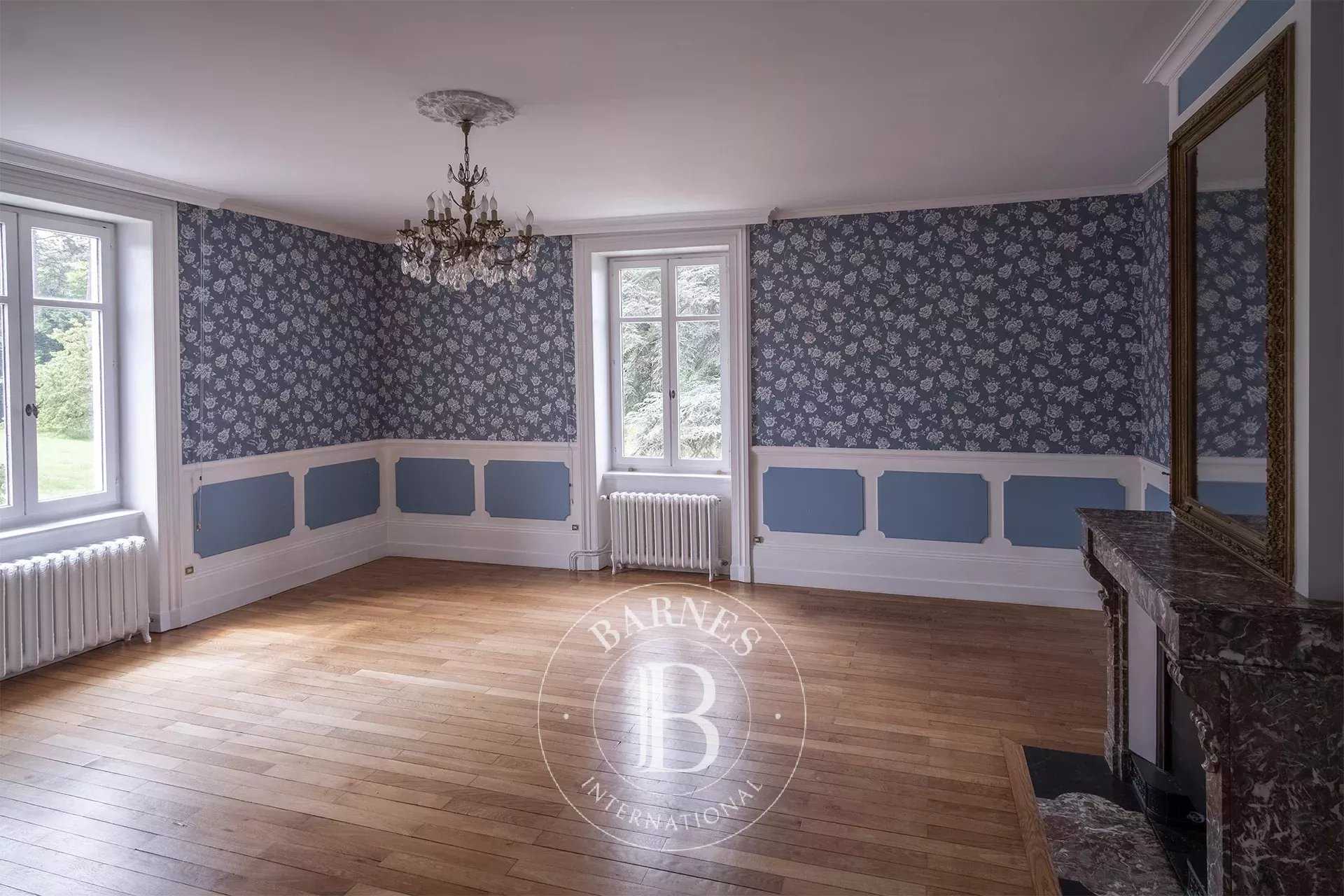 Saint-Didier-de-Formans  - Maison 10 Pi&egrave;ces 5 Chambres