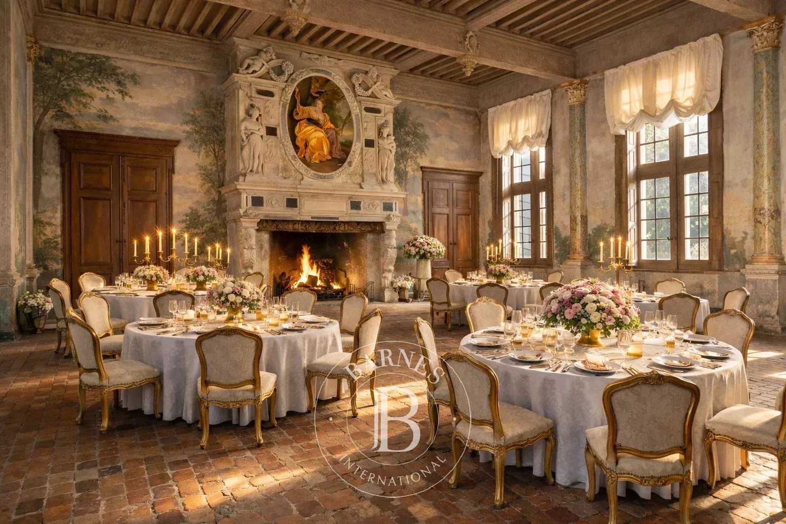 Fareins  - Château 30 Pi&egrave;ces 8 Chambres