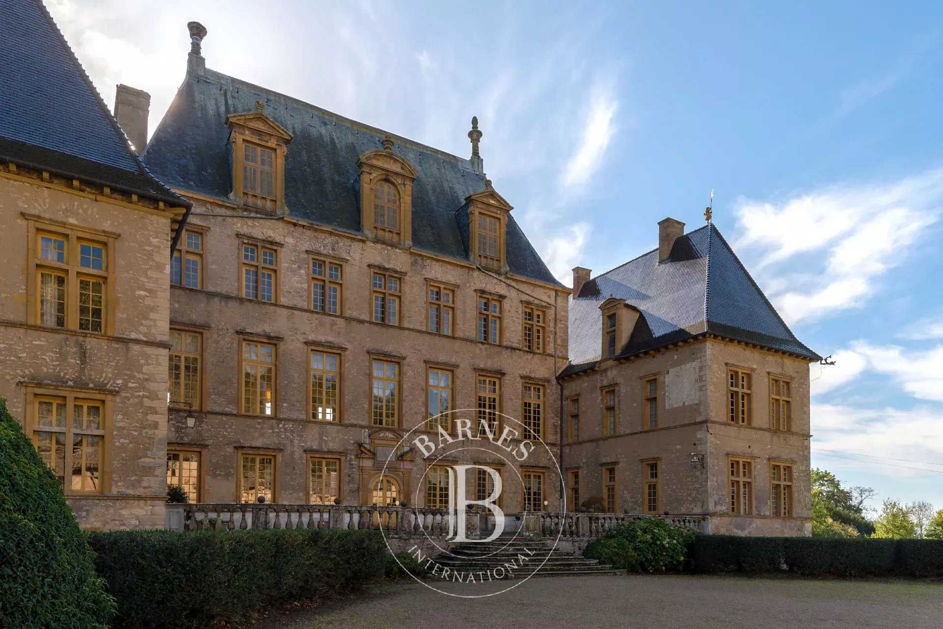 Fareins  - Château 30 Pi&egrave;ces 8 Chambres