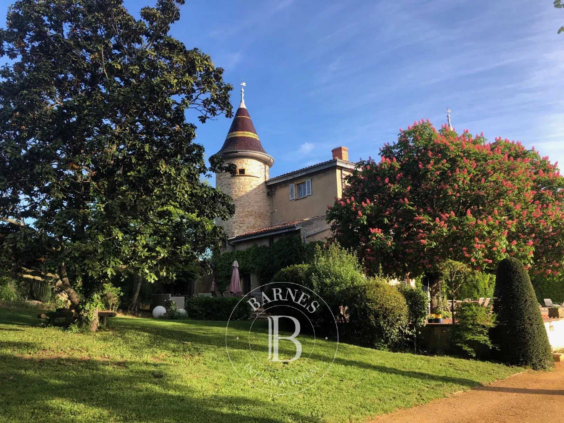 Marcilly-d'Azergues  - Château 15 Pi&egrave;ces 8 Chambres