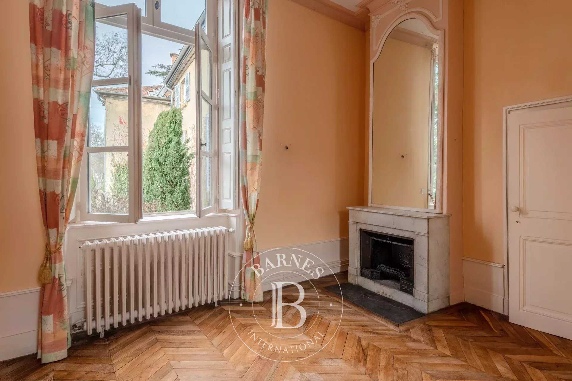 Rochetaillée-sur-Saône  - Apartment 4 Bedrooms