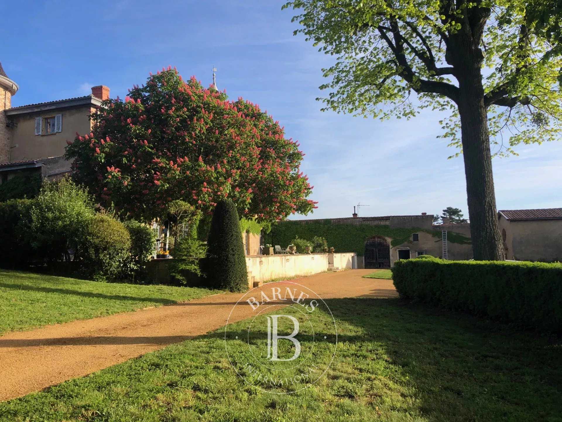 Château Marcilly-d'Azergues  -  ref 8201586 (picture 3)