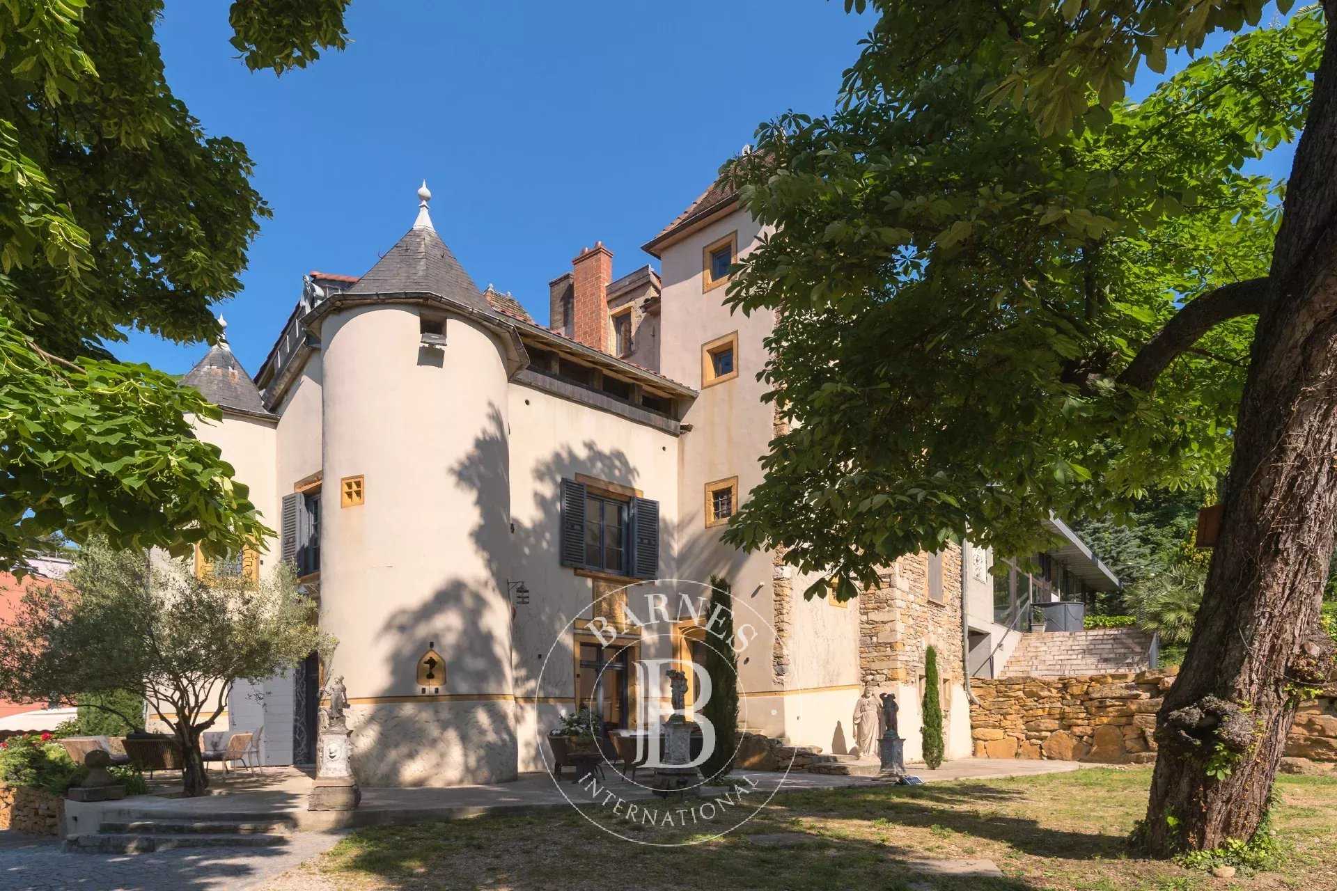 Castle Lyon 69005  -  ref 2217980 (picture 1)