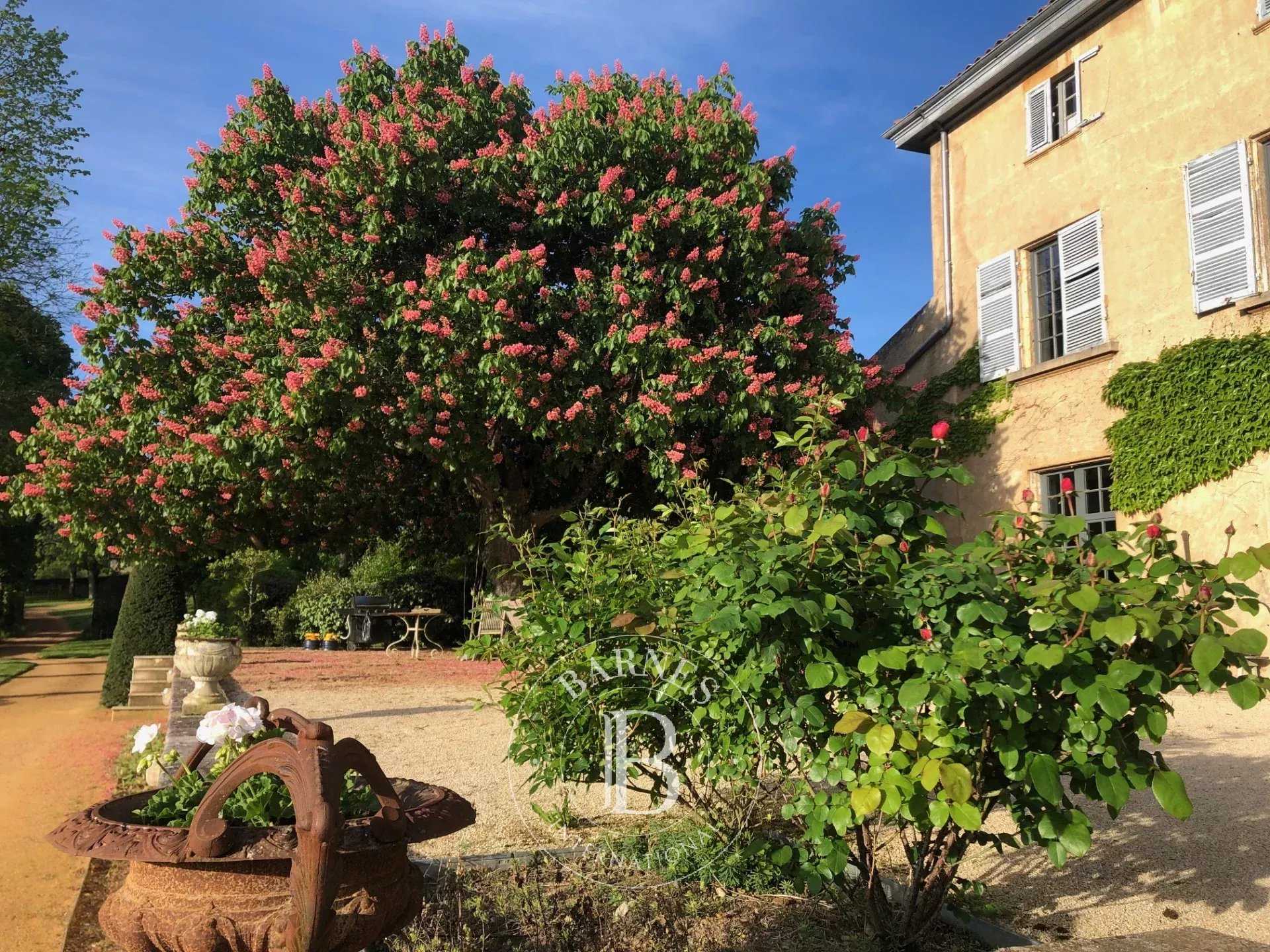 Château Marcilly-d'Azergues  -  ref 8201586 (picture 3)