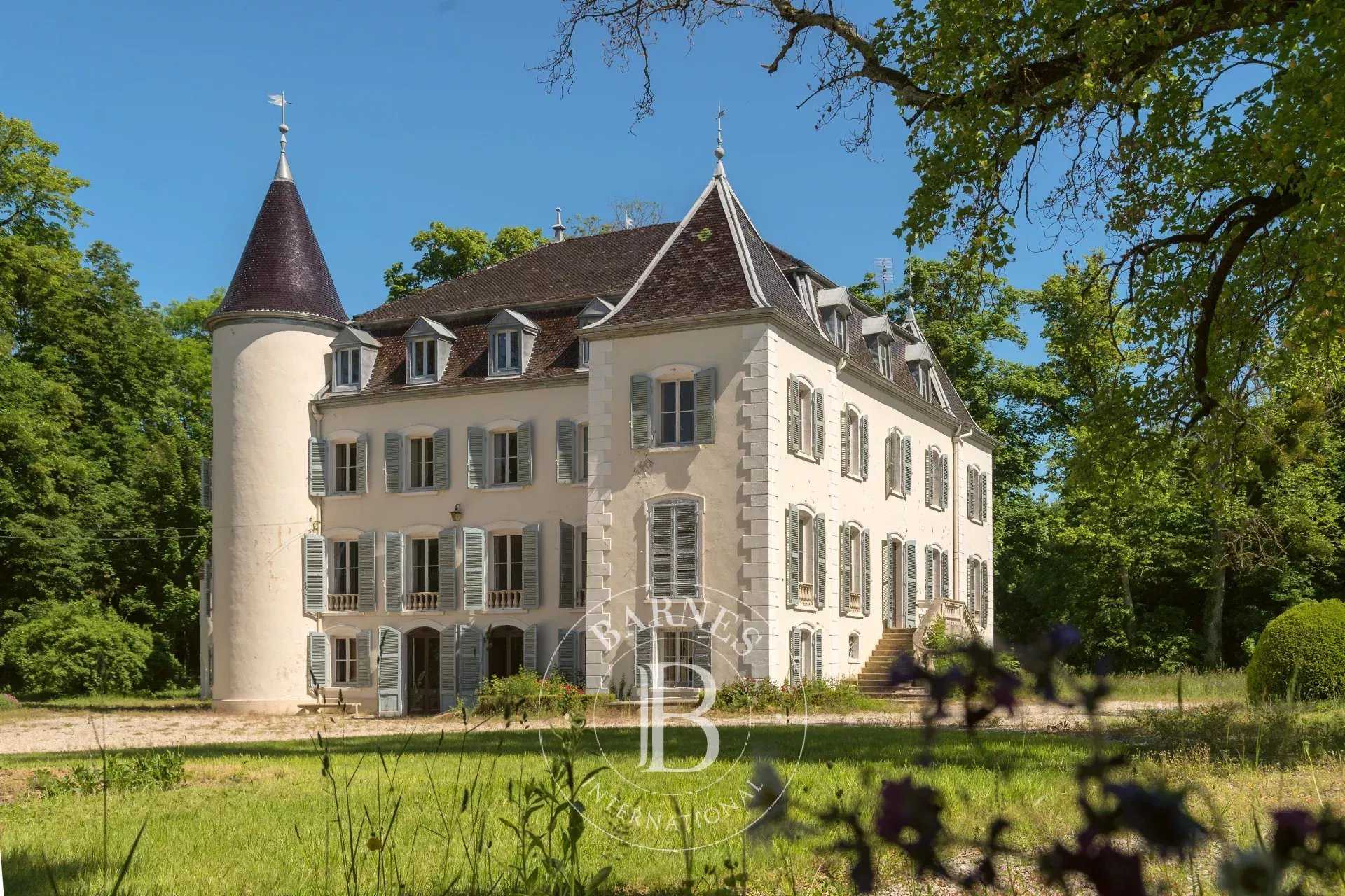 Château Saint-Jean-le-Vieux  -  ref 84176362 (picture 2)