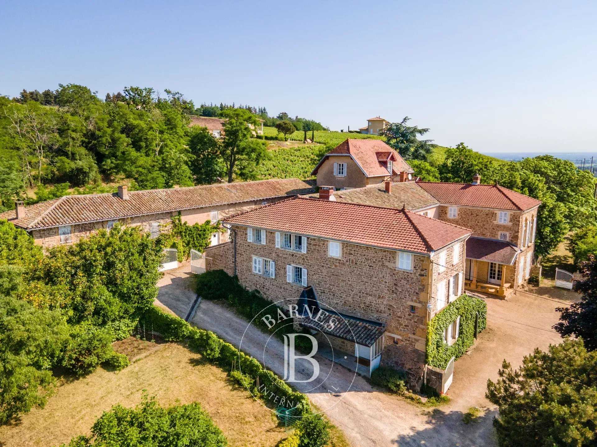 Maison d'hôtes Saint-Étienne-la-Varenne  -  ref 8032032 (picture 2)