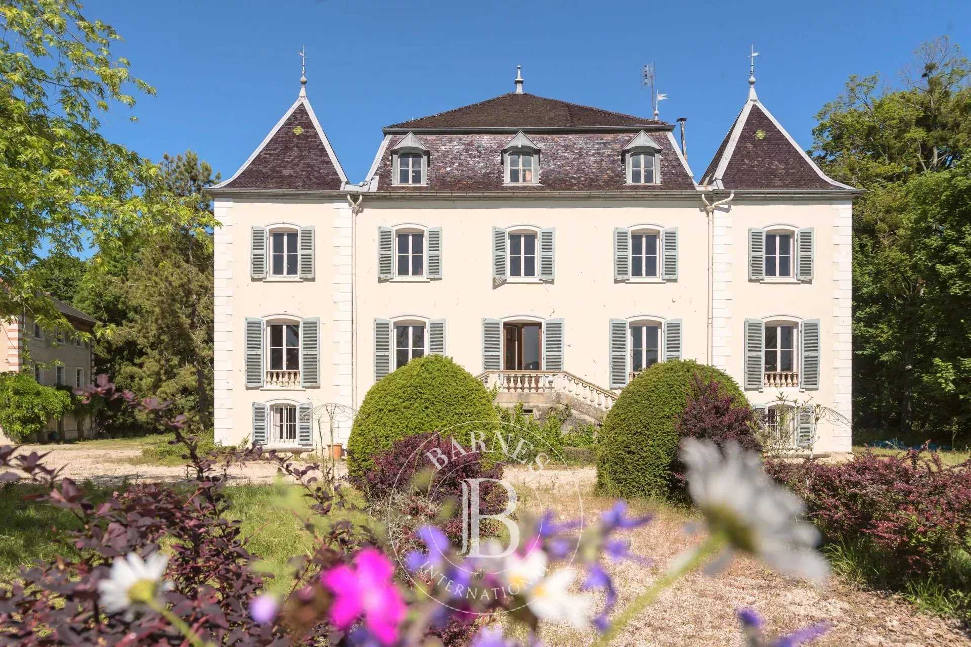 Château Saint-Jean-le-Vieux  -  ref 84176362 (picture 1)