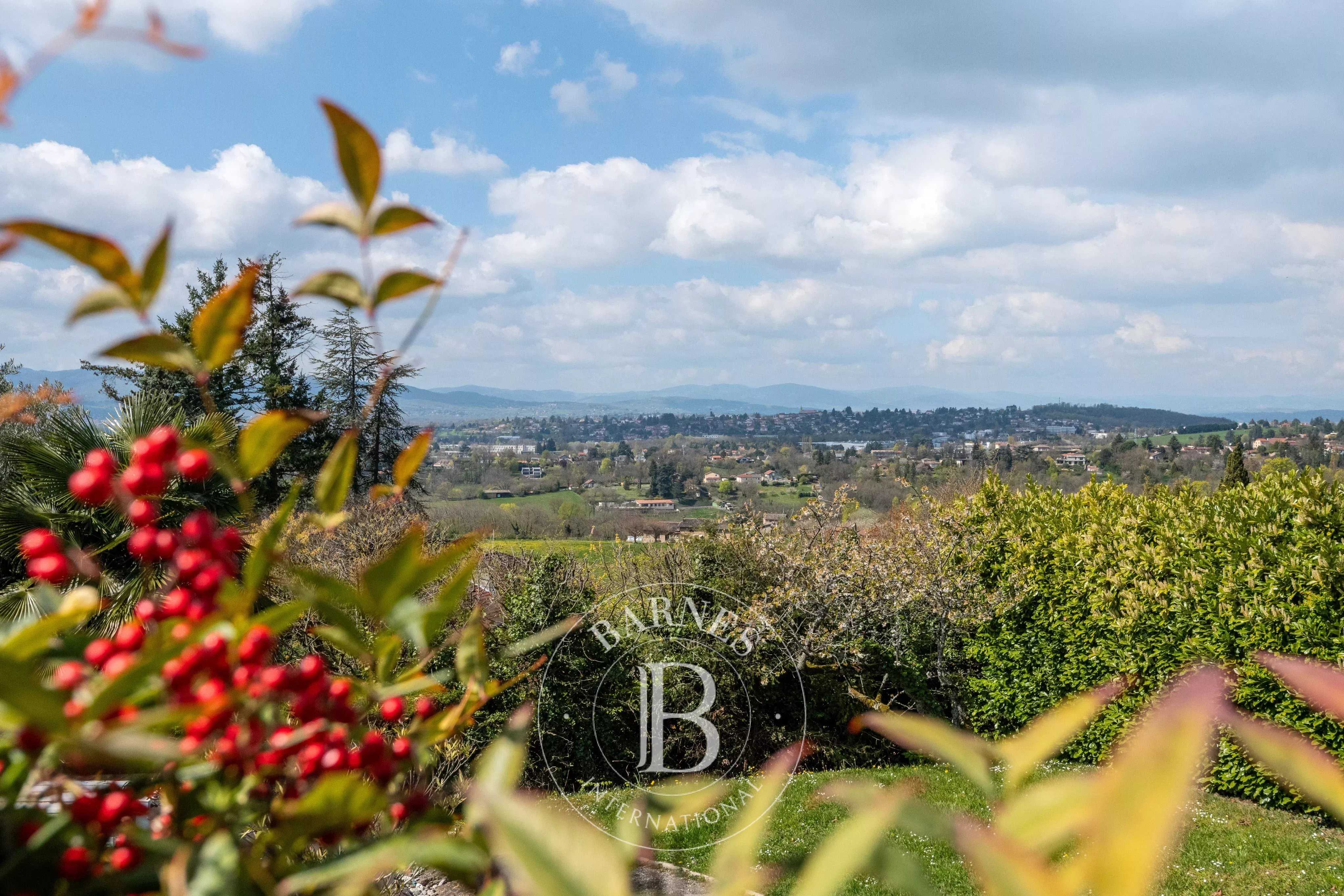 Maison Saint-Didier-au-Mont-d'Or  -  ref 86831862 (picture 1)