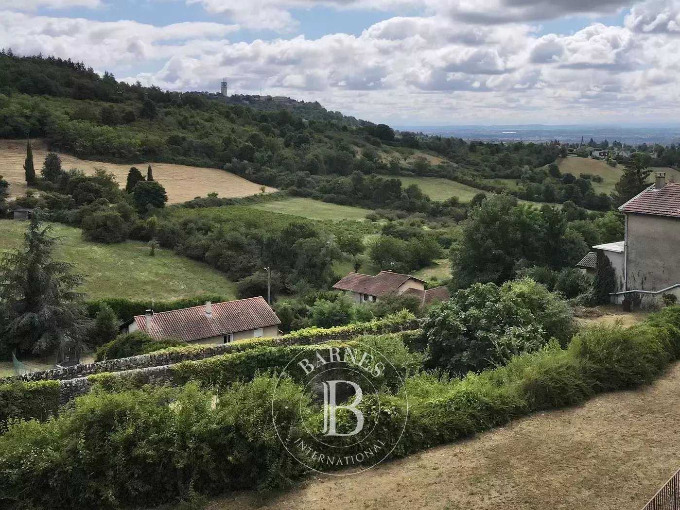 Building land Saint-Didier-au-Mont-d'Or  -  ref 85998306 (picture 2)