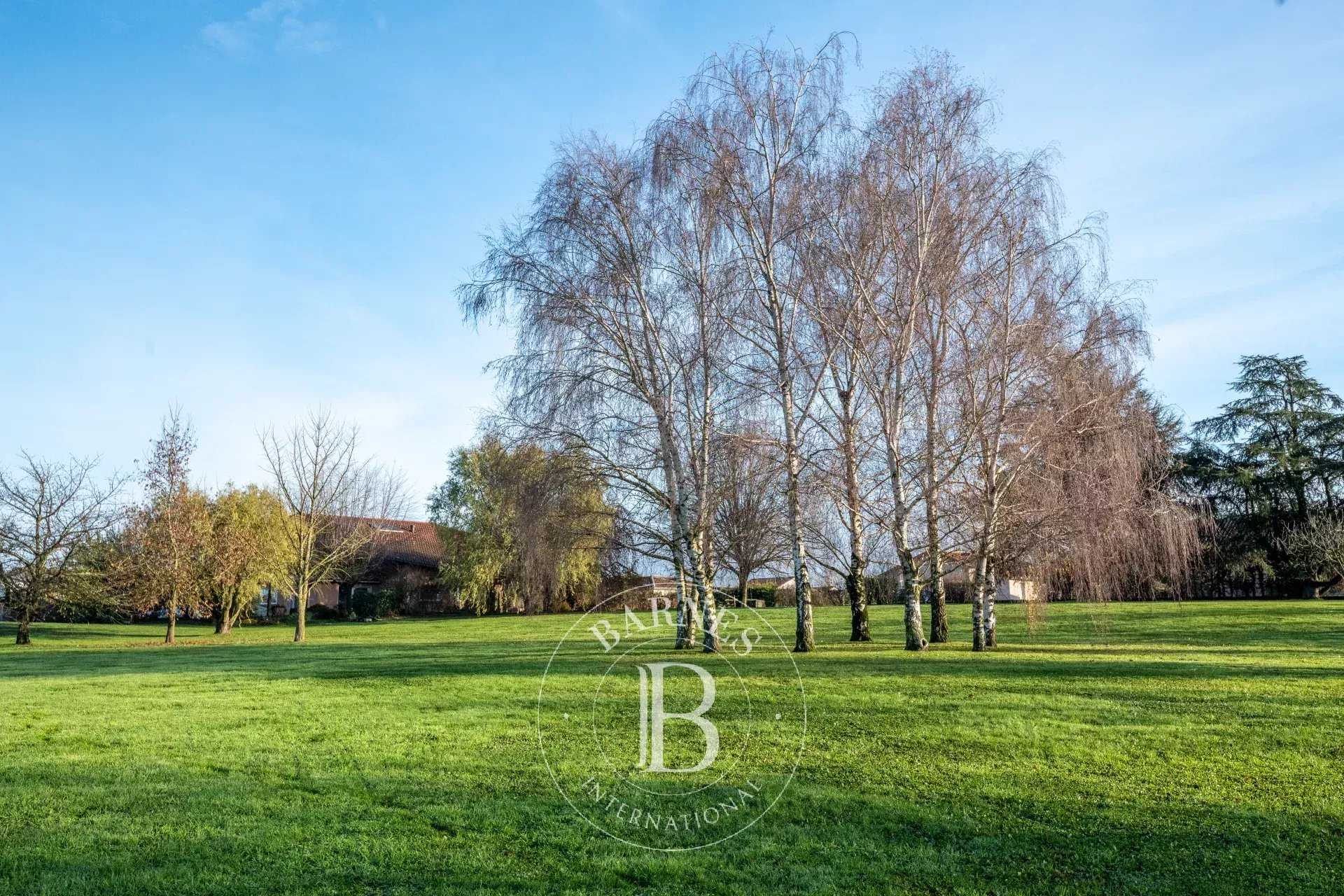 House Chaleins  -  ref 86407664 (picture 2)