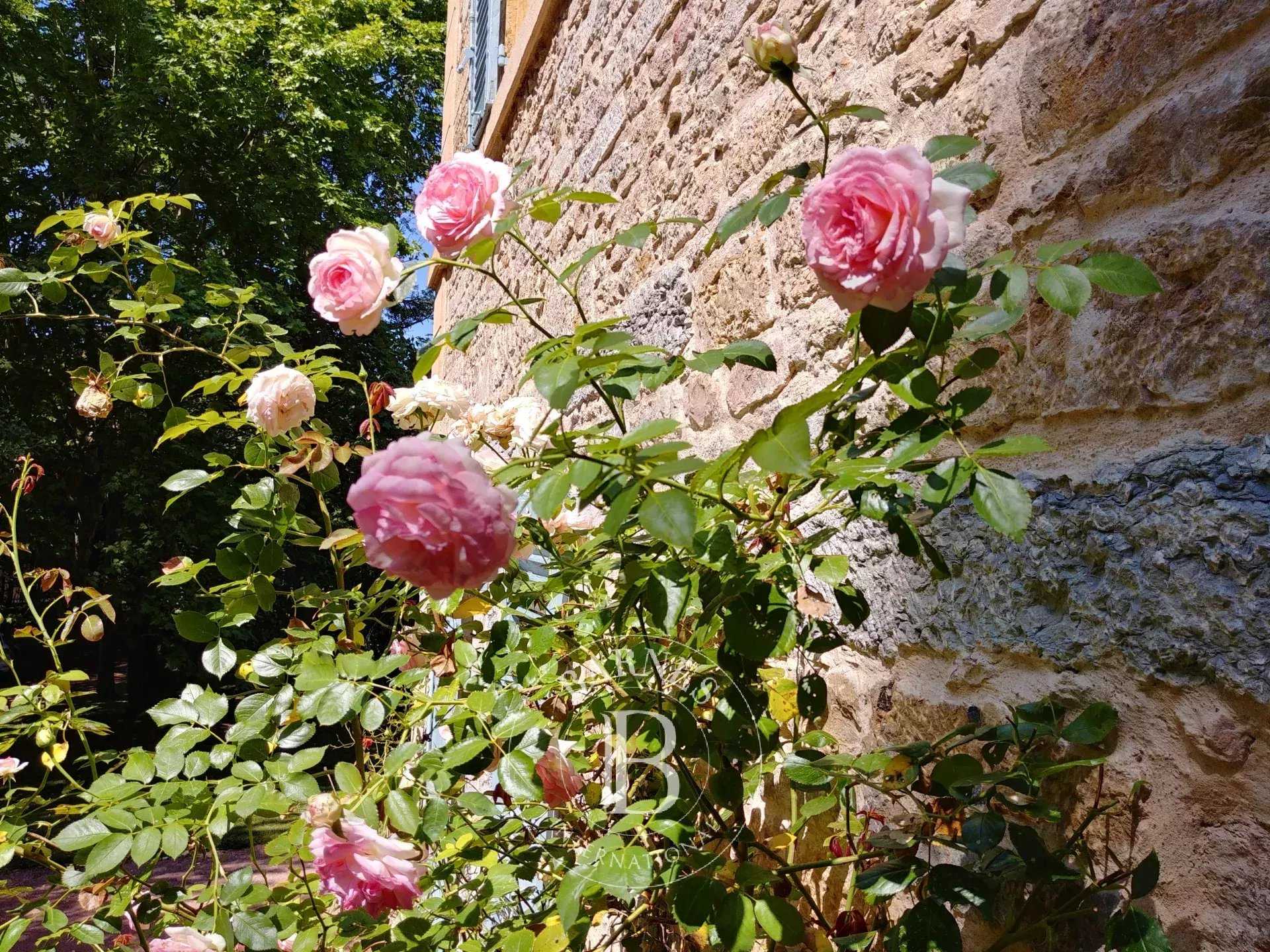 Apartment Saint-Cyr-au-Mont-d'Or  -  ref 85424295 (picture 3)
