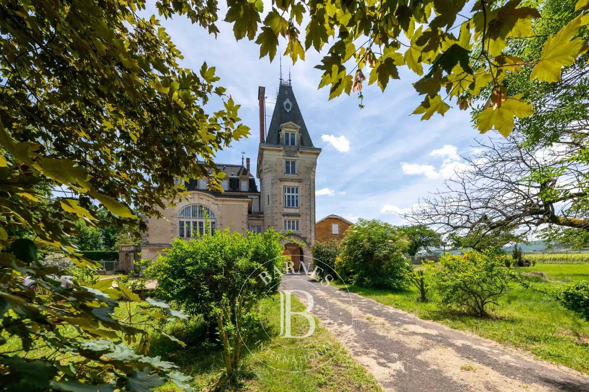 Château Lacenas  -  ref 5112611 (picture 2)