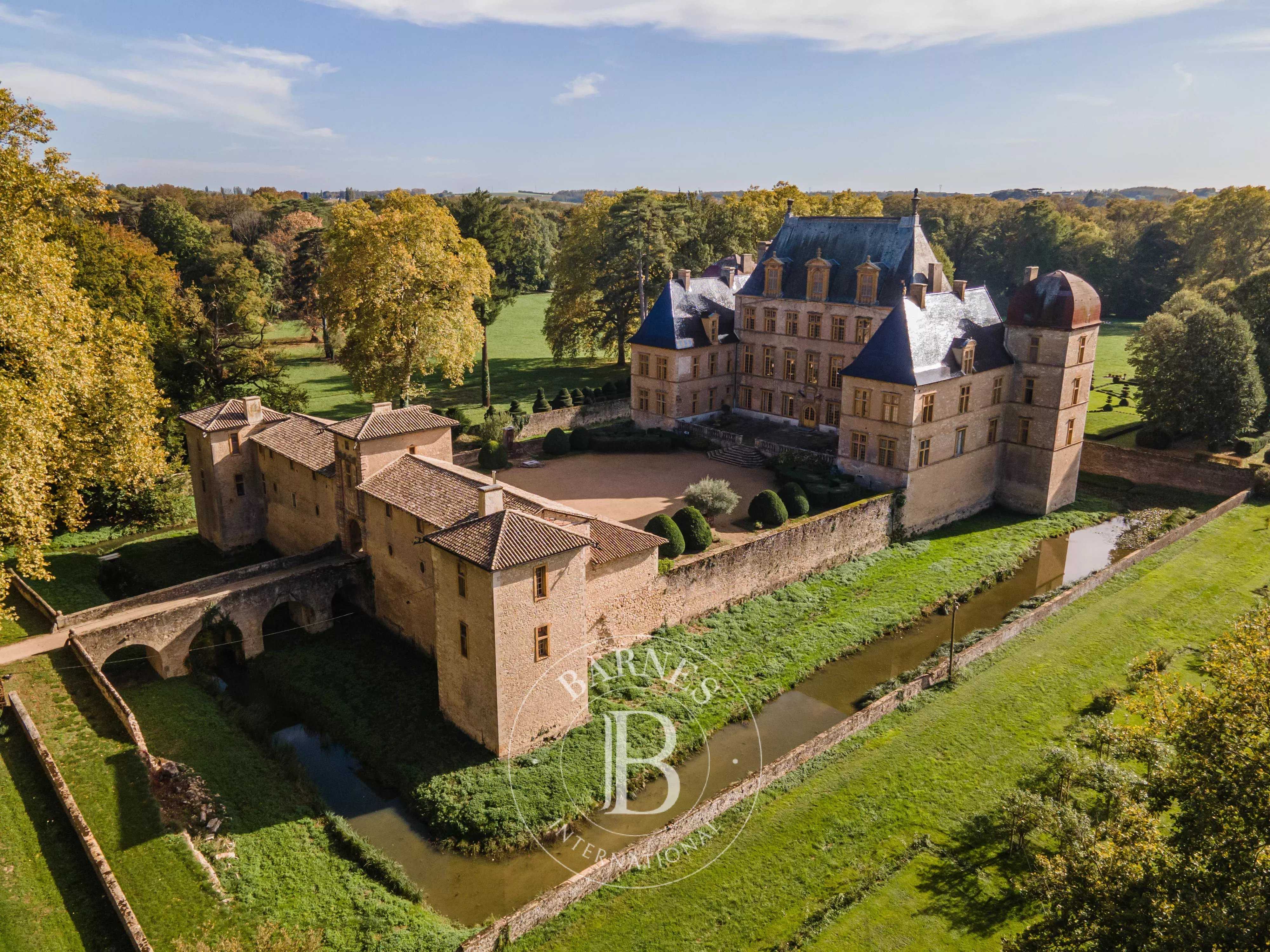 Château Fareins  -  ref 4744206 (picture 1)