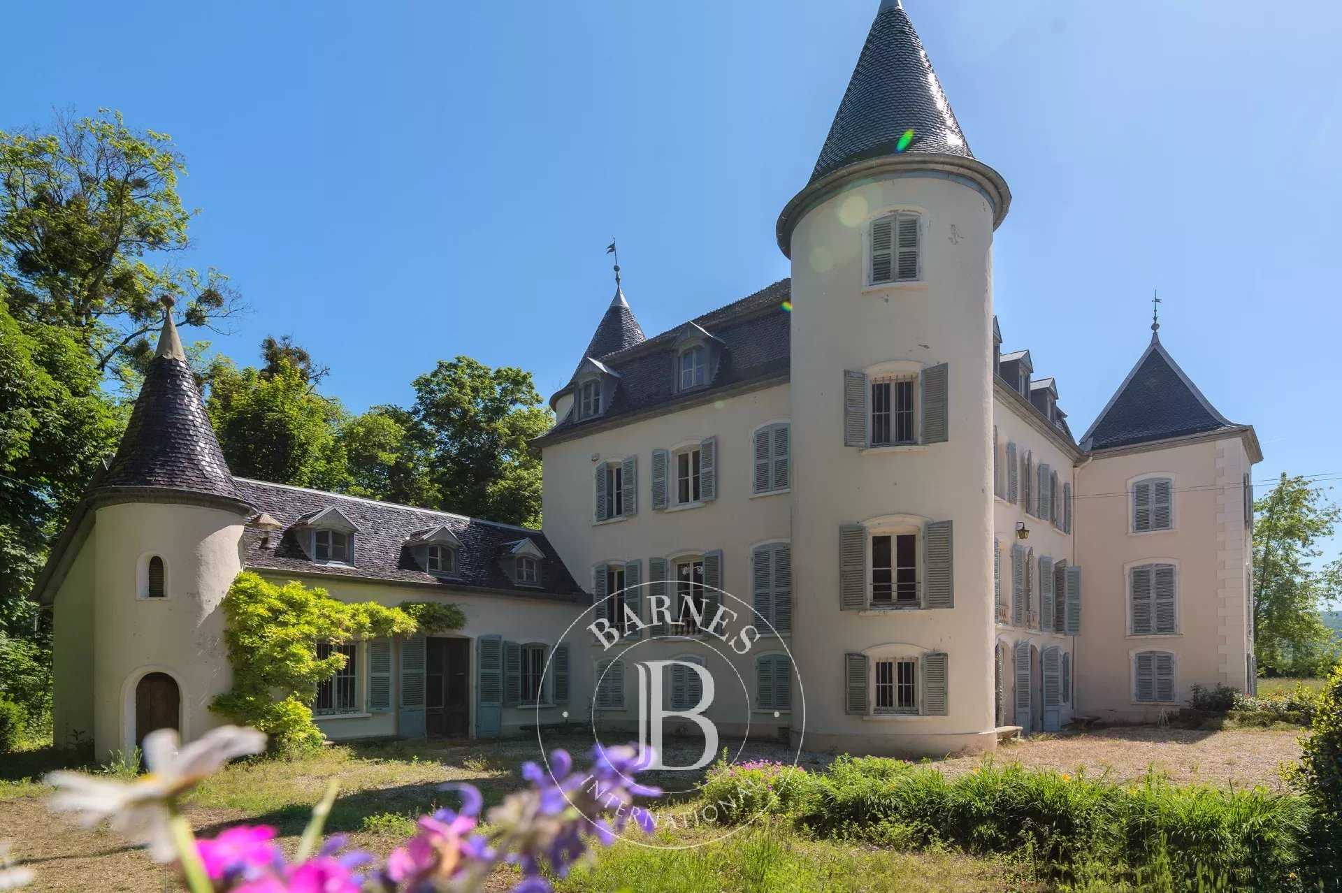 Château Saint-Jean-le-Vieux  -  ref 84176362 (picture 3)