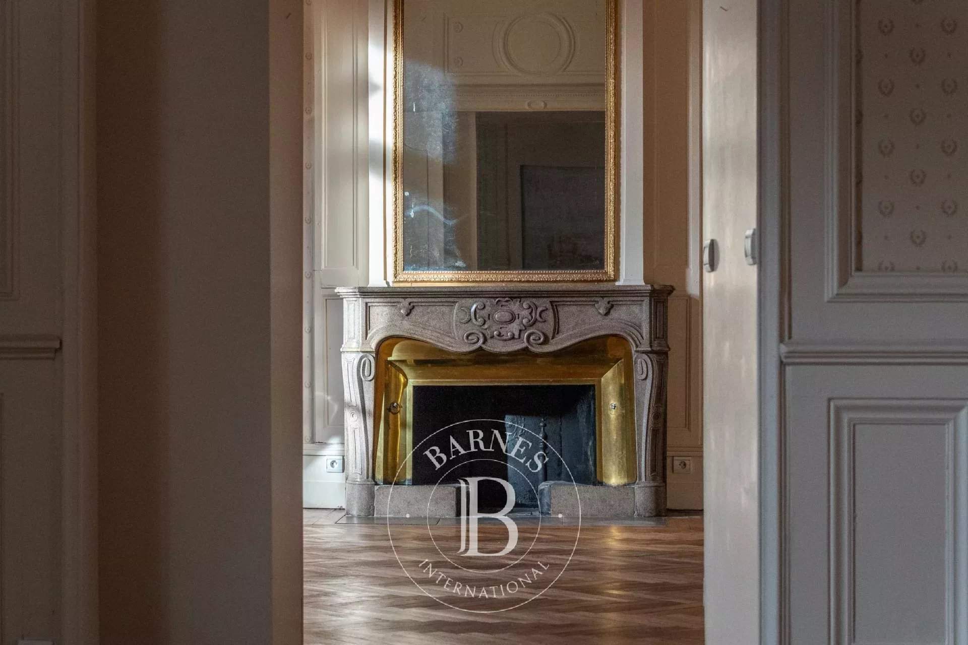 Rochetaillée-sur-Saône  - Apartment 4 Bedrooms - picture 1