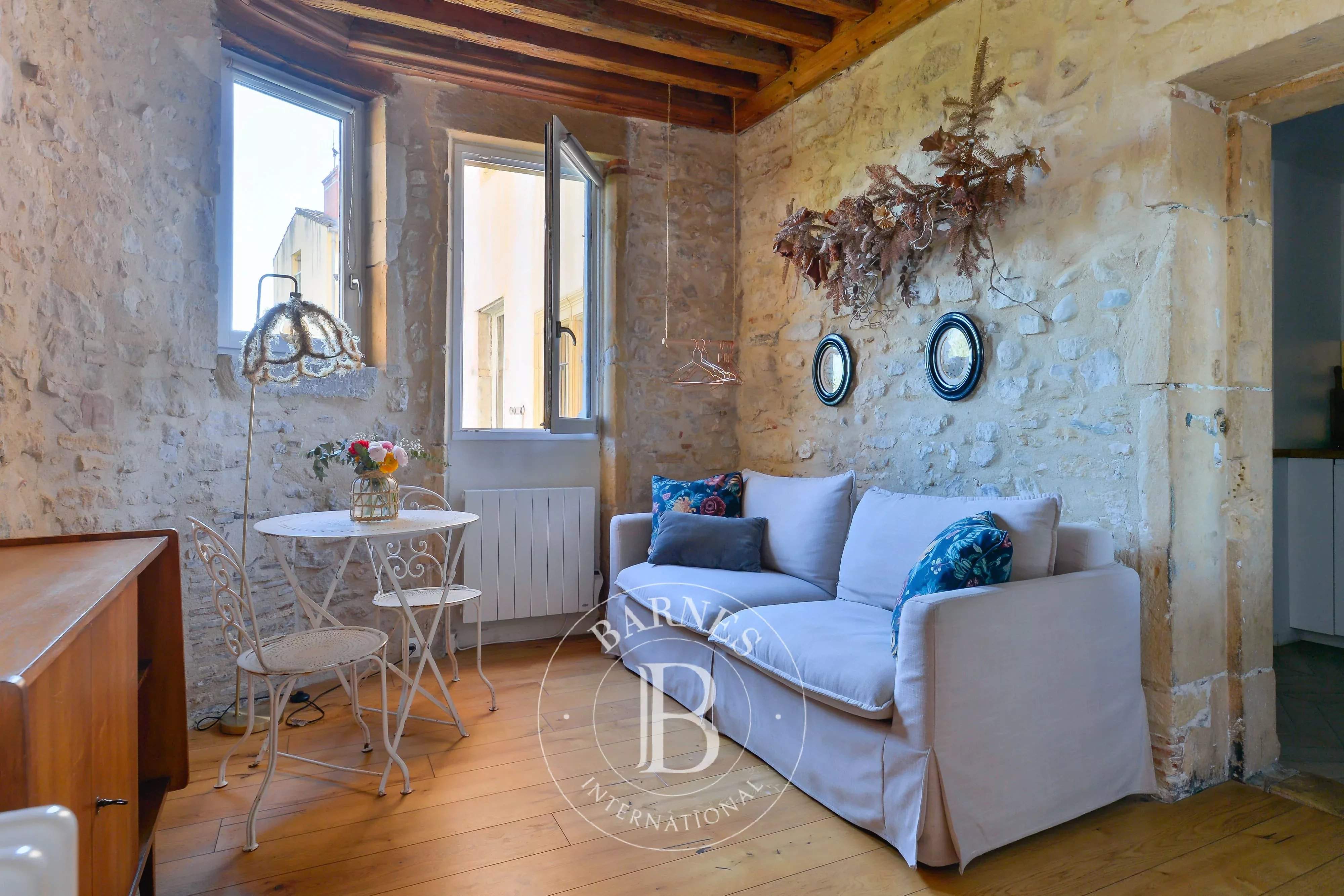 Lyon  - Appartement 8 Pi&egrave;ces 6 Chambres - picture 13