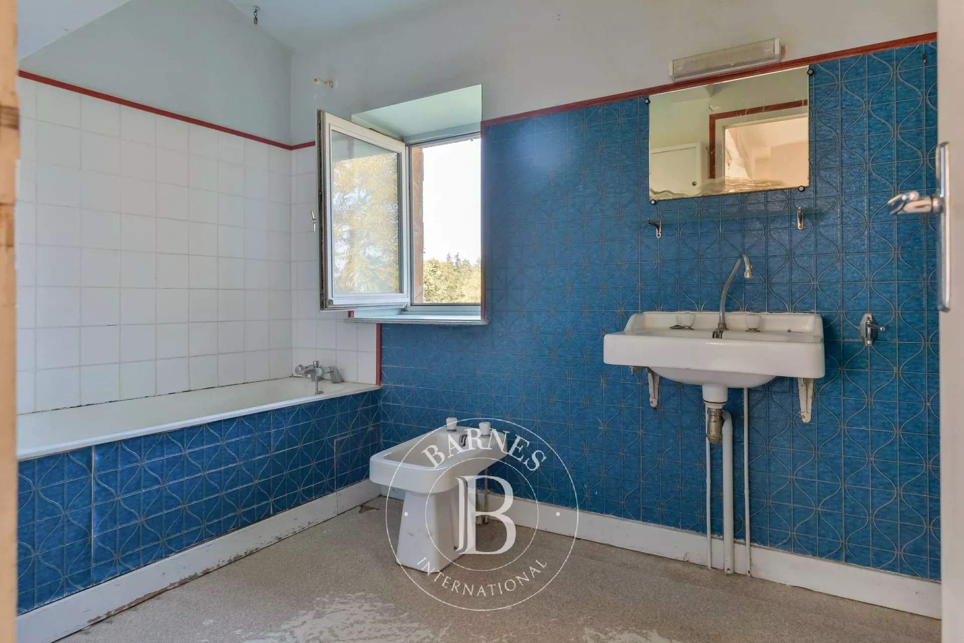 Villié-Morgon  - Vineyard property  - picture 14