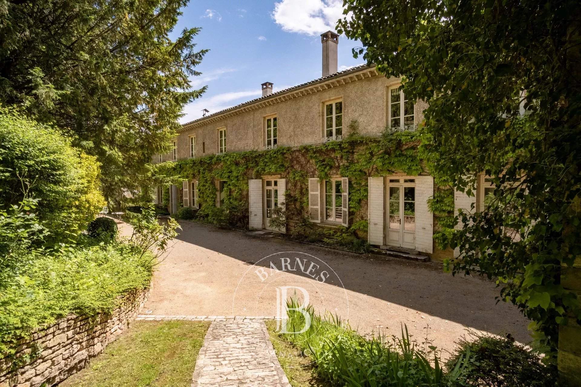 Montmerle-sur-Saône  - Castle 7 Bedrooms - picture 2