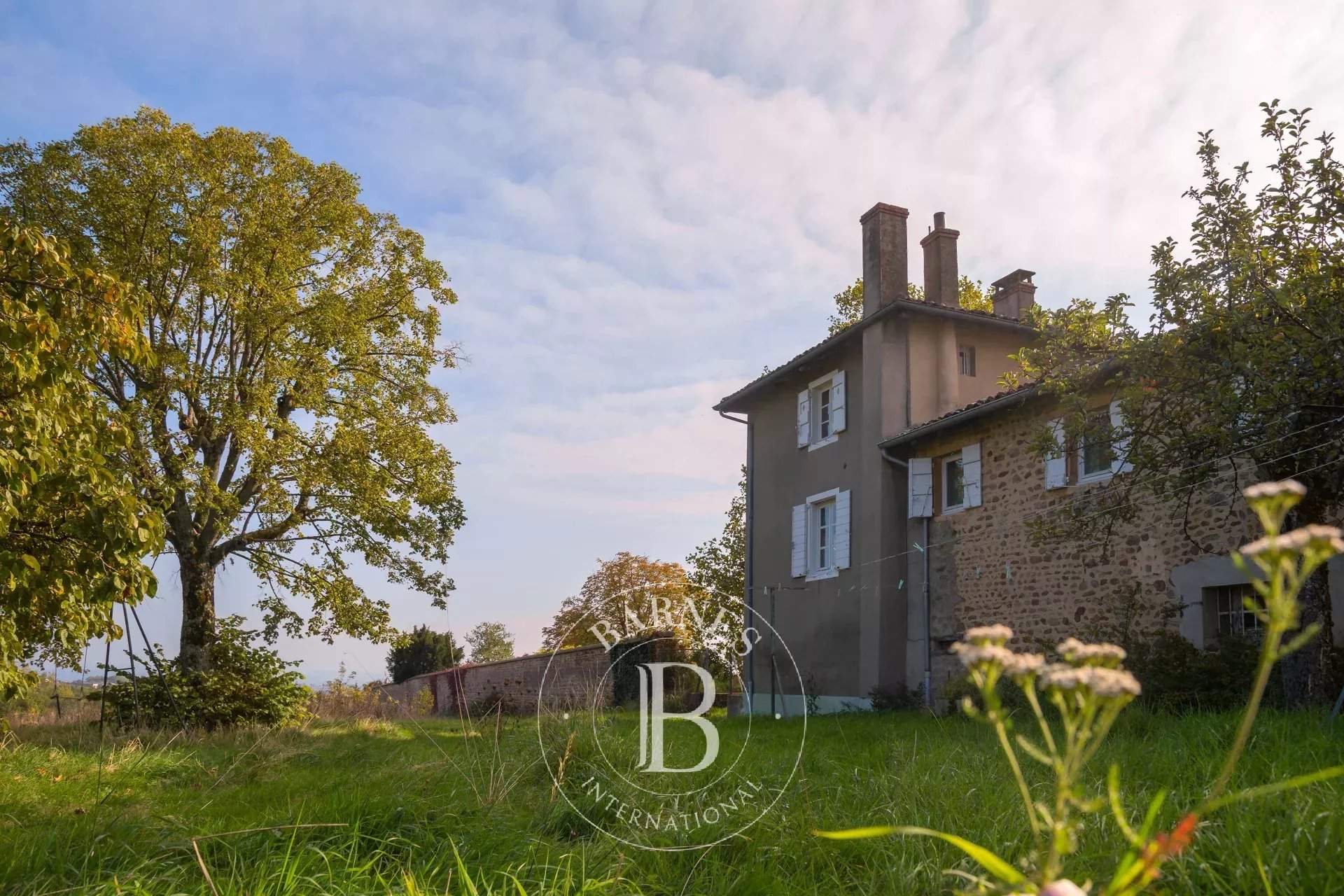 Villié-Morgon  - Vineyard property  - picture 4