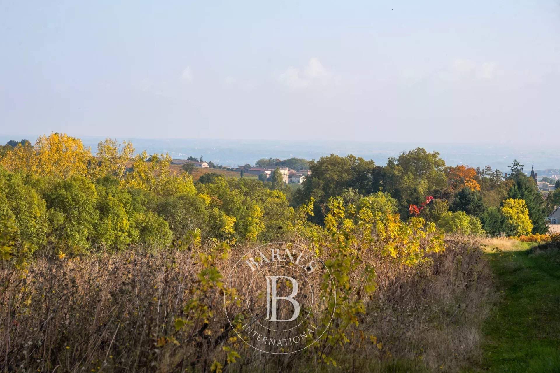 Villié-Morgon  - Vineyard property  - picture 19