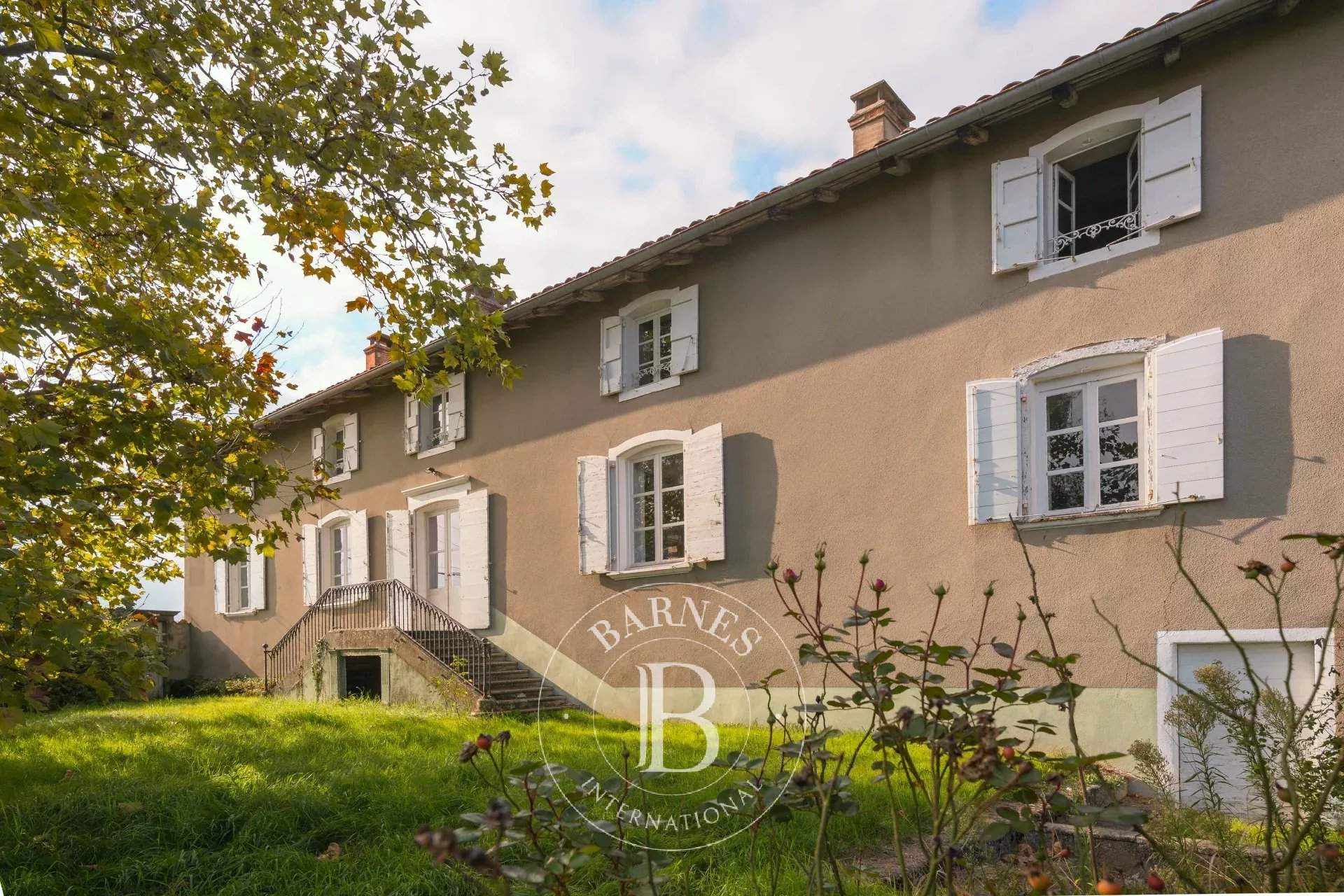 Villié-Morgon  - Vineyard property  - picture 1