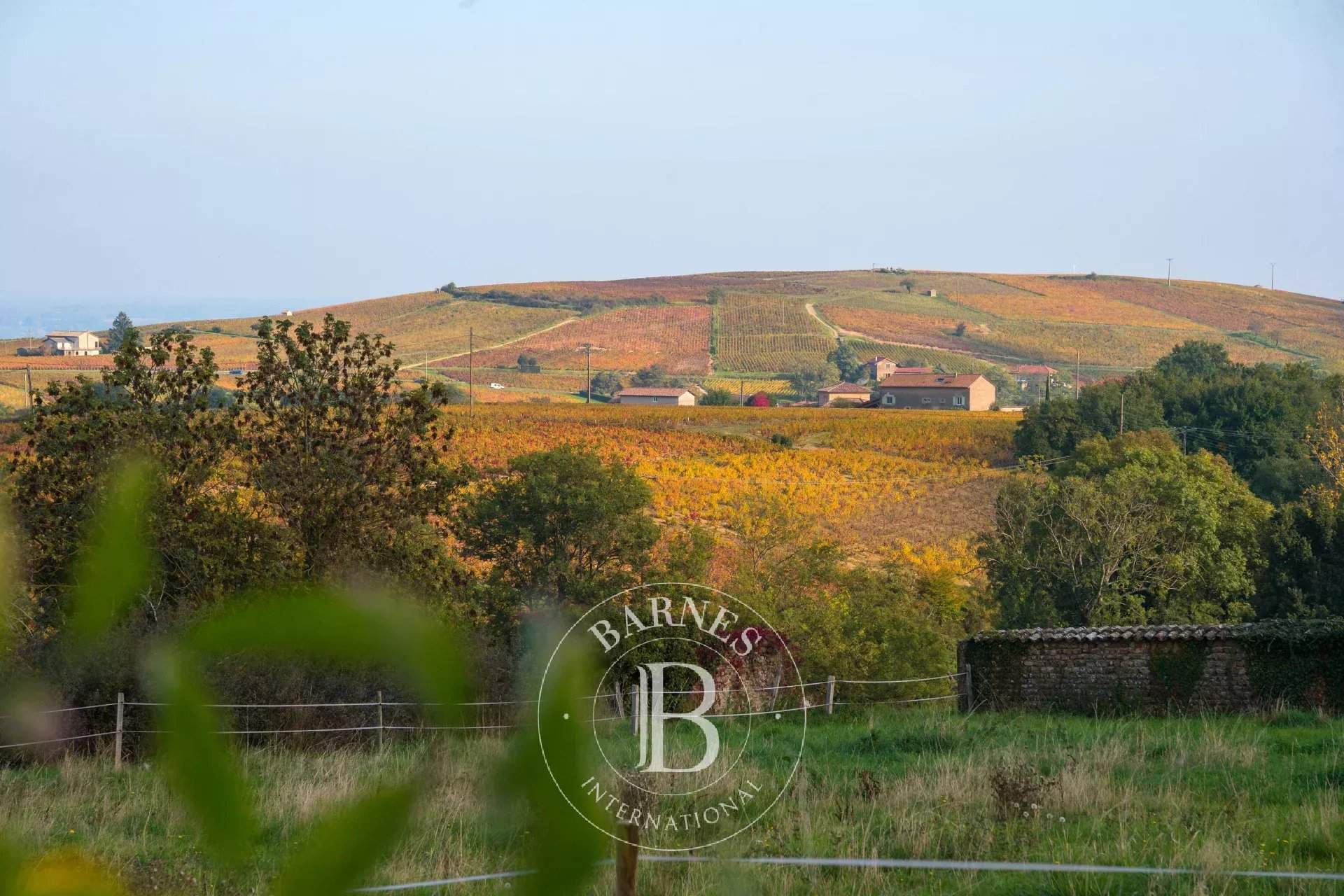 Villié-Morgon  - Casa 6 Cuartos - picture 14