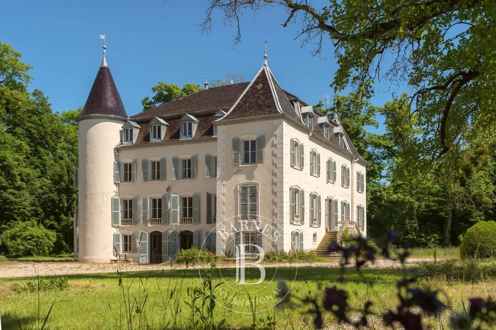 Saint-Jean-le-Vieux  - Château 16 Pièces - picture 2