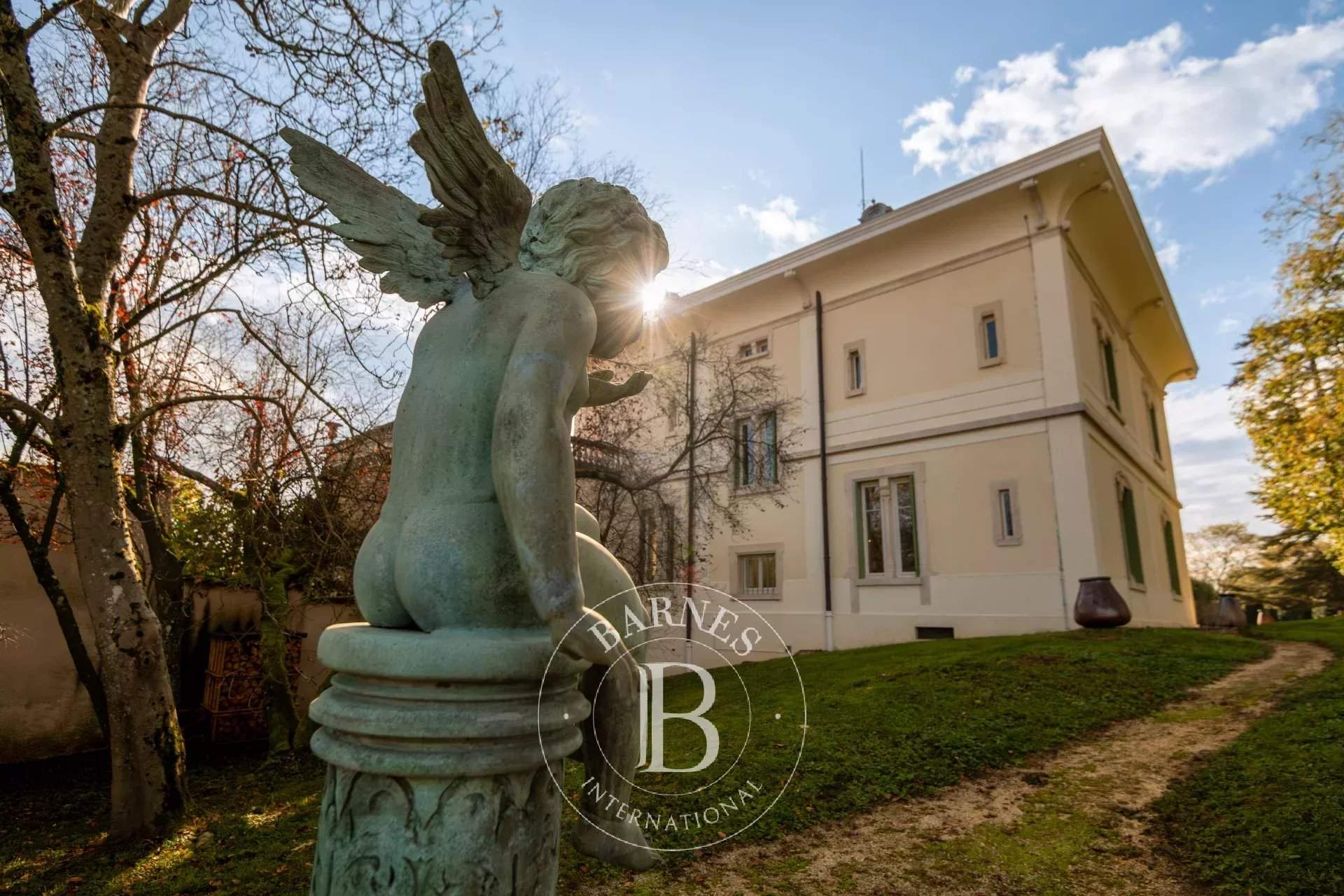 Dommartin  - Property 9 Bedrooms - picture 5