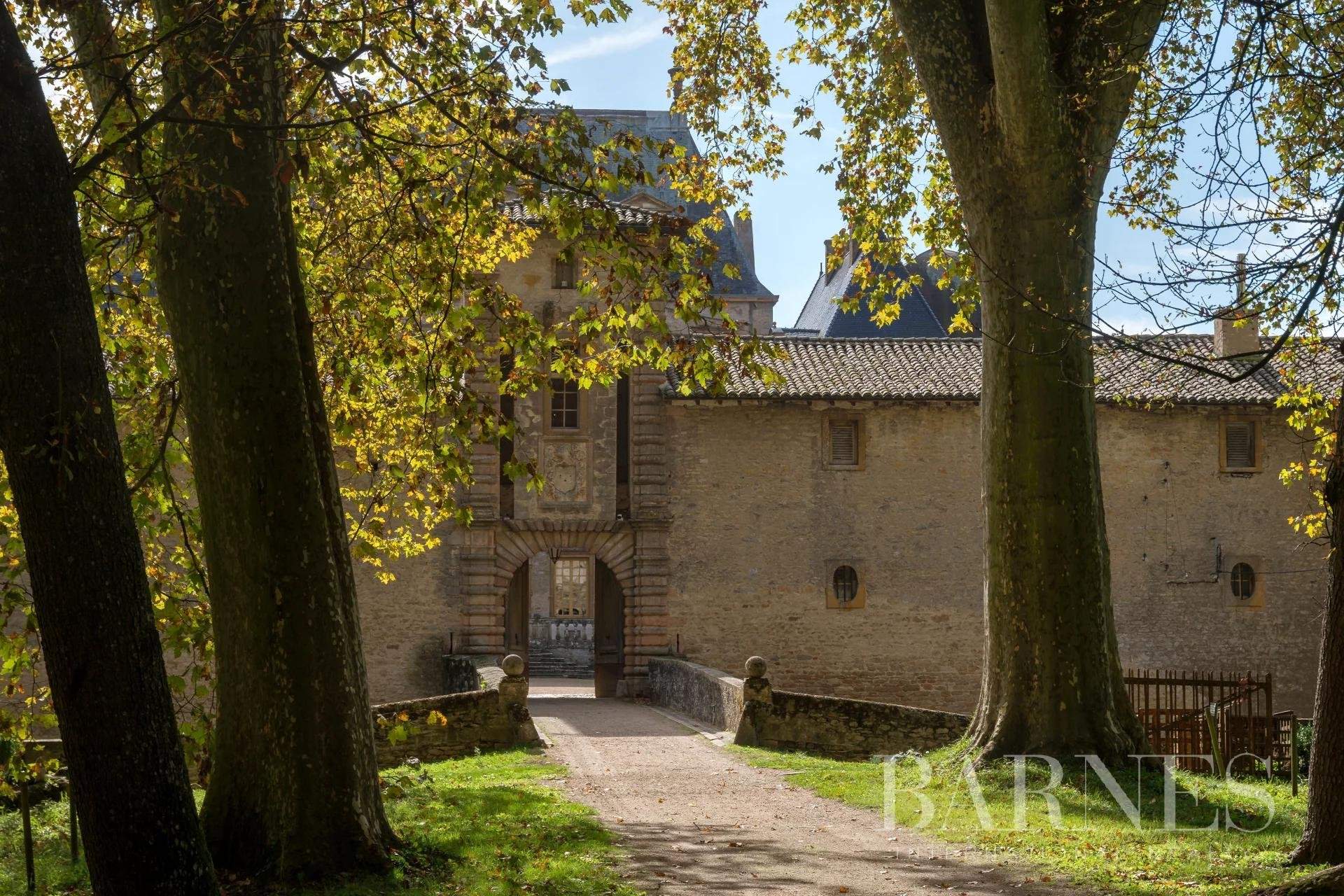 Fareins  - Château 30 Pièces 8 Chambres - picture 18