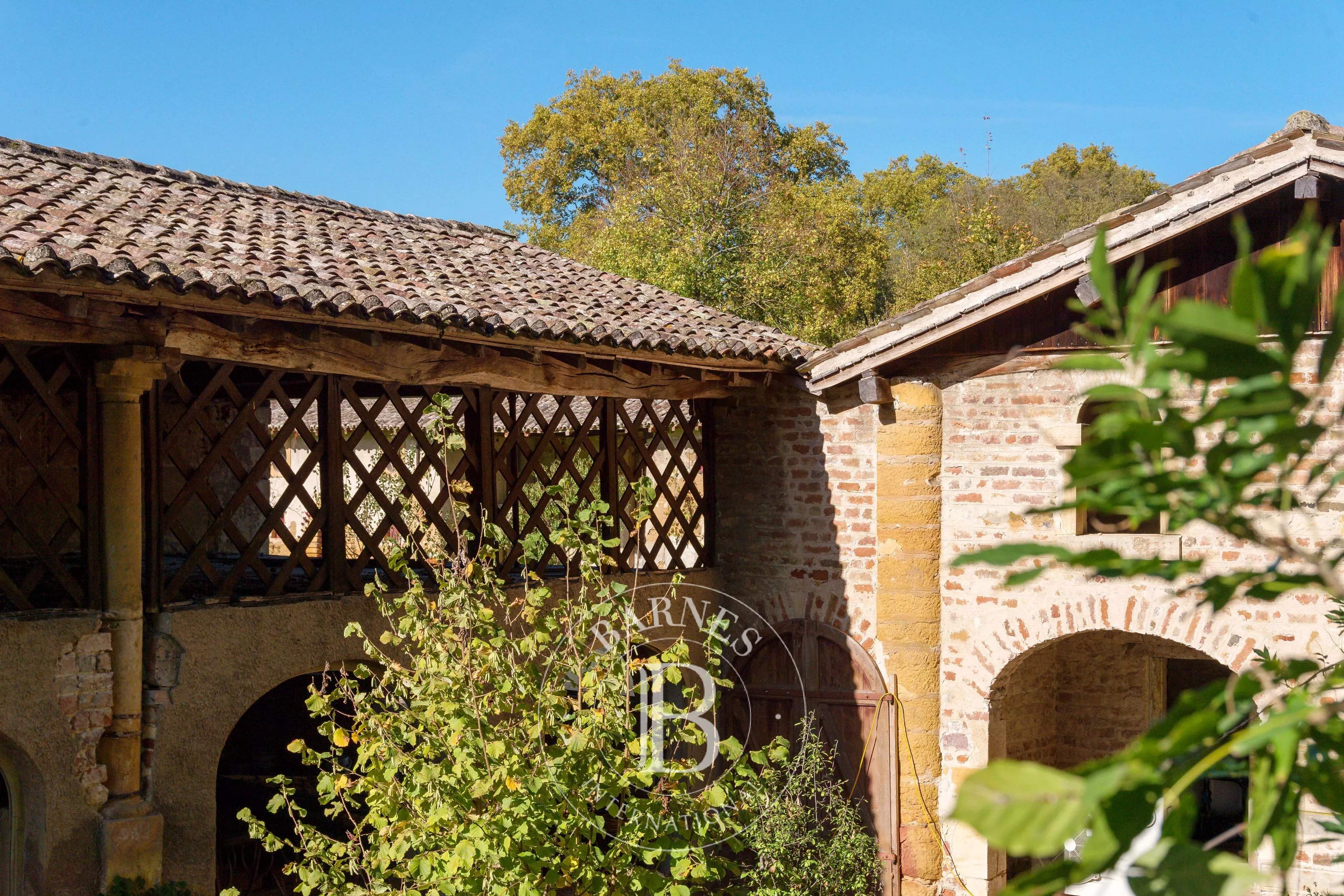 Fareins  - Château 30 Pi&egrave;ces 8 Chambres - picture 20