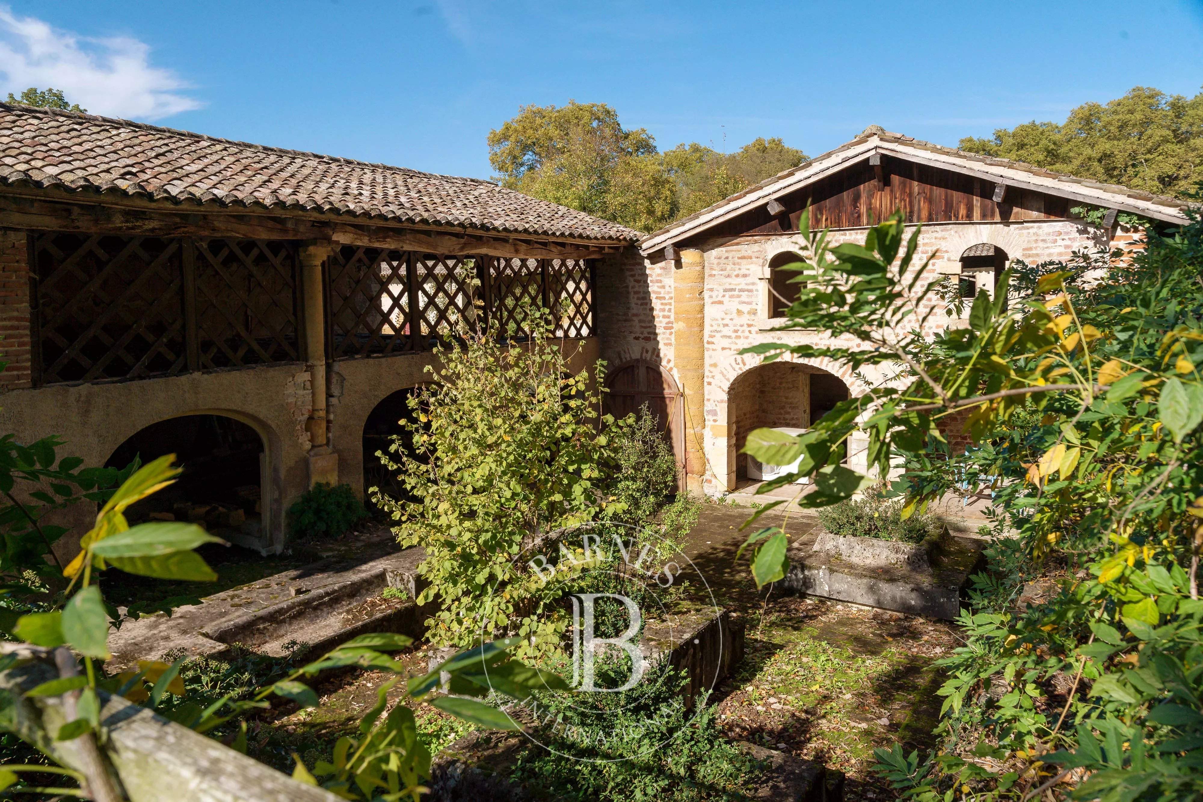 Fareins  - Château 30 Pi&egrave;ces 8 Chambres - picture 19