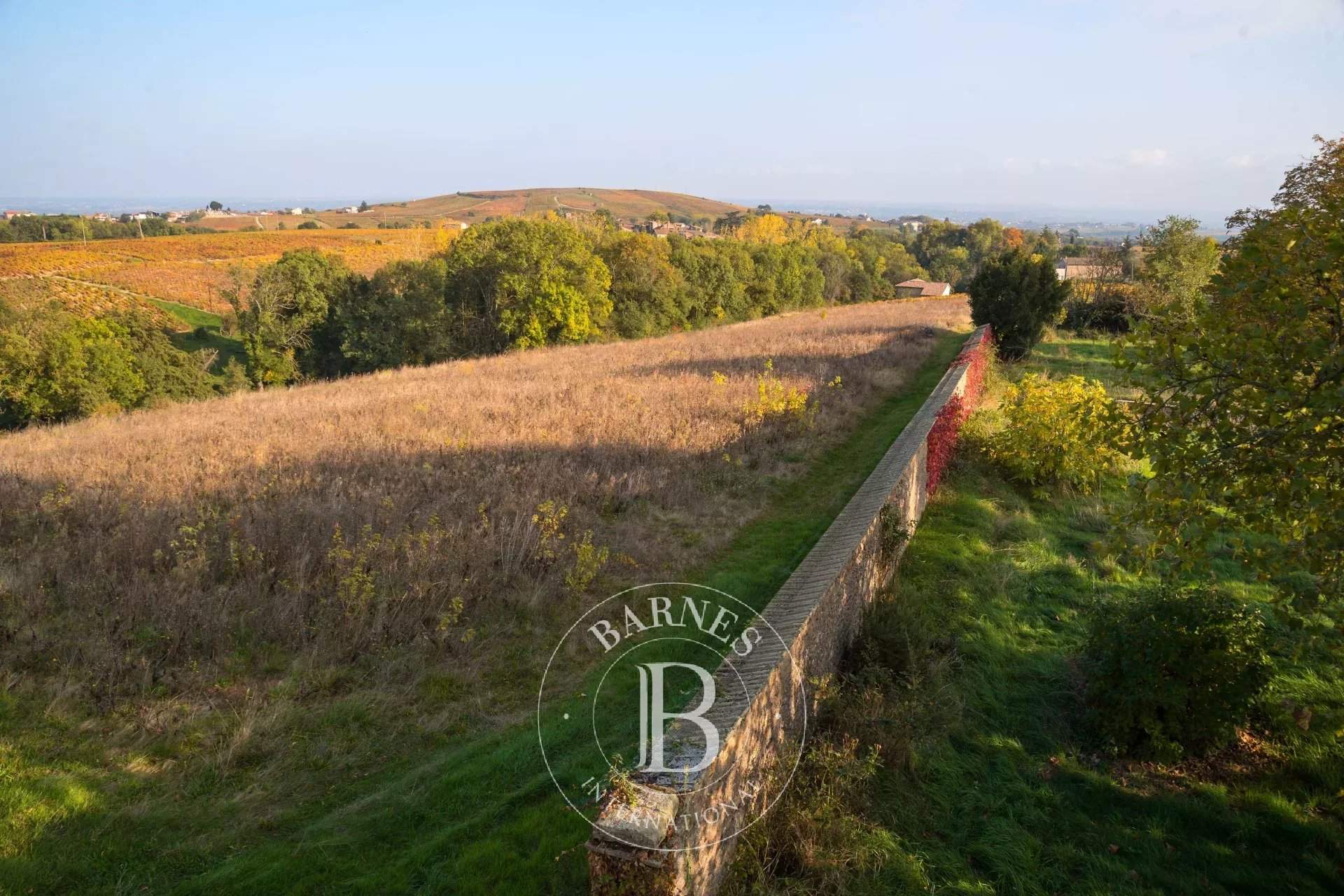 Villié-Morgon  - Vineyard property  - picture 20