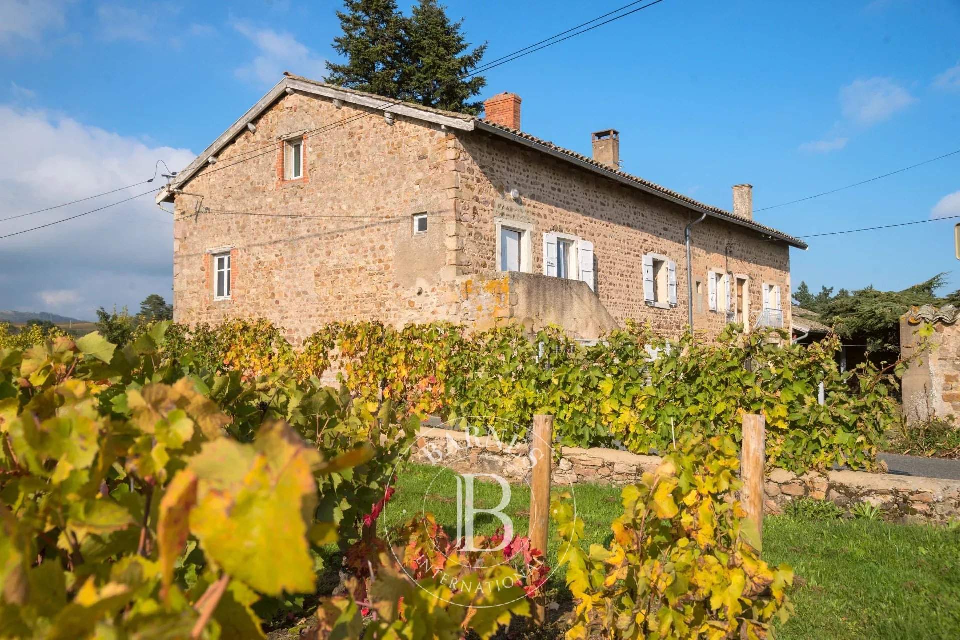 Villié-Morgon  - Casa 6 Cuartos - picture 2