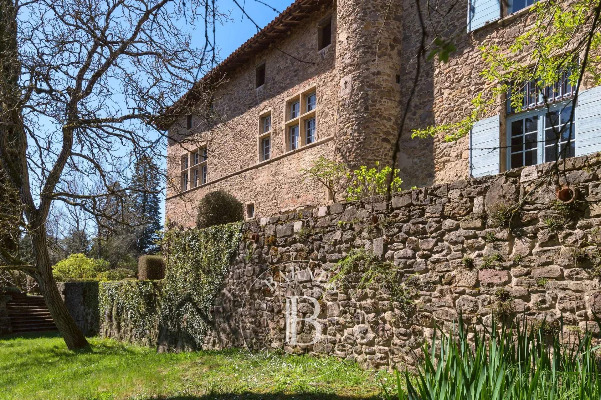 Limonest  - Propriété 20 Pi&egrave;ces 4 Chambres - picture 13