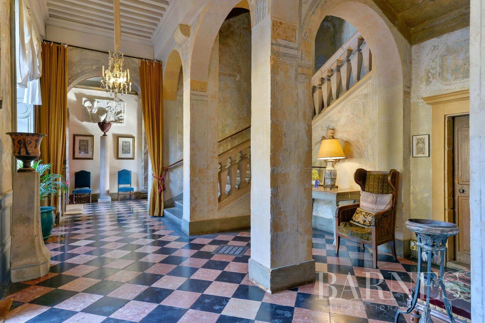Fareins  - Château 30 Pièces 8 Chambres - picture 11