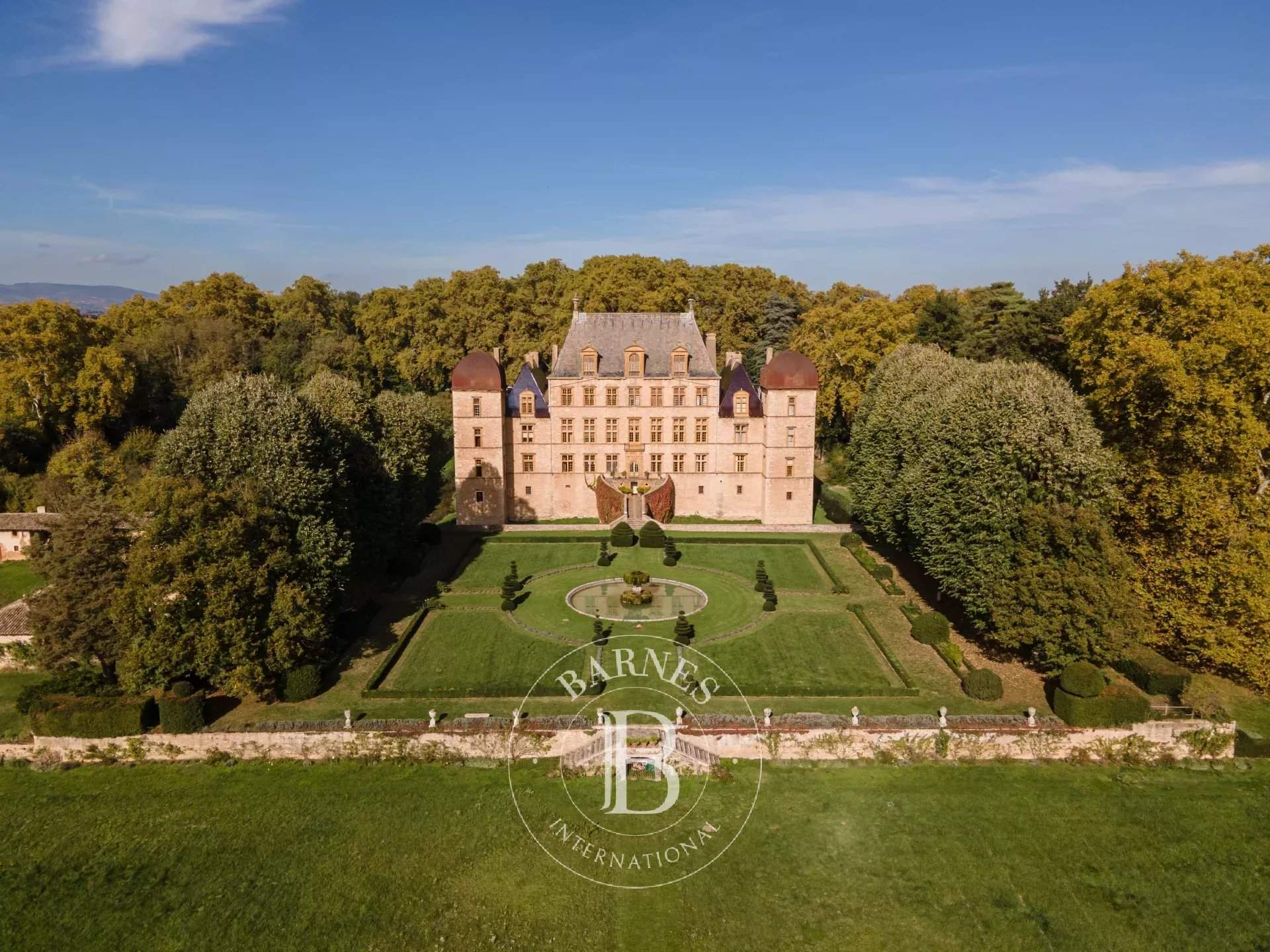 Fareins  - Château 30 Pi&egrave;ces 8 Chambres - picture 2