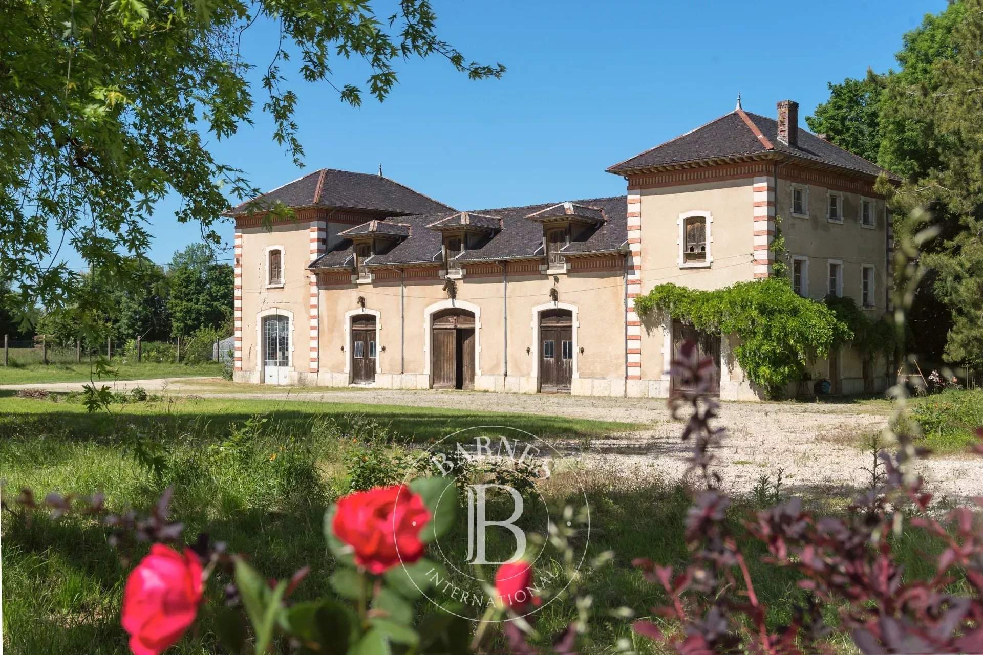 Saint-Jean-le-Vieux  - Château 16 Pièces - picture 4