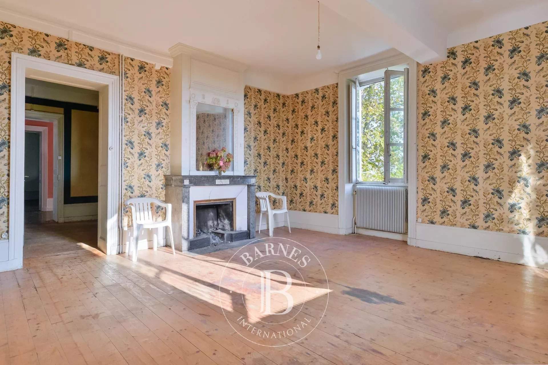 Villié-Morgon  - Vineyard property  - picture 9