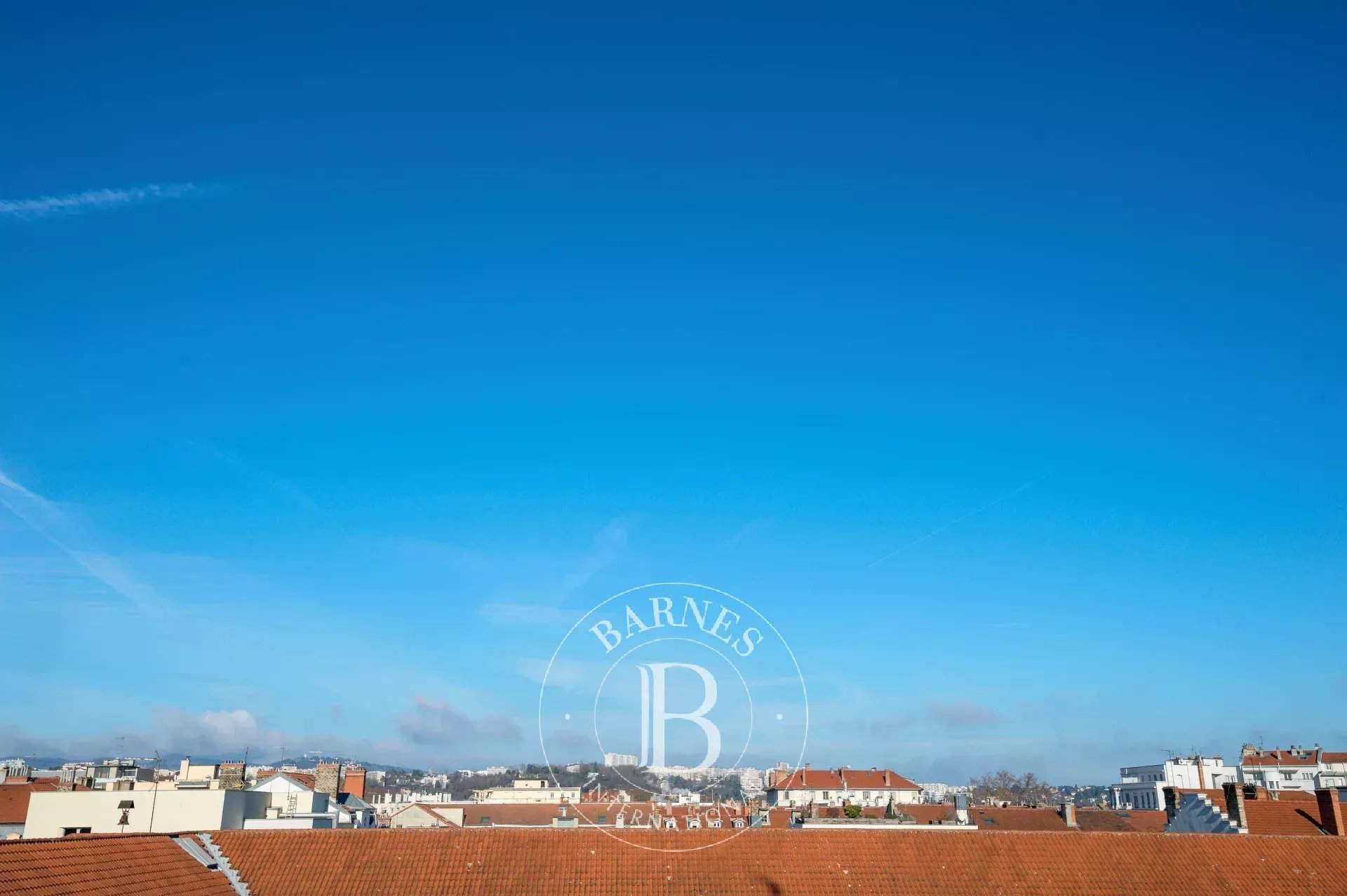 Lyon  - Piso 3 Cuartos 2 Habitaciones - picture 10