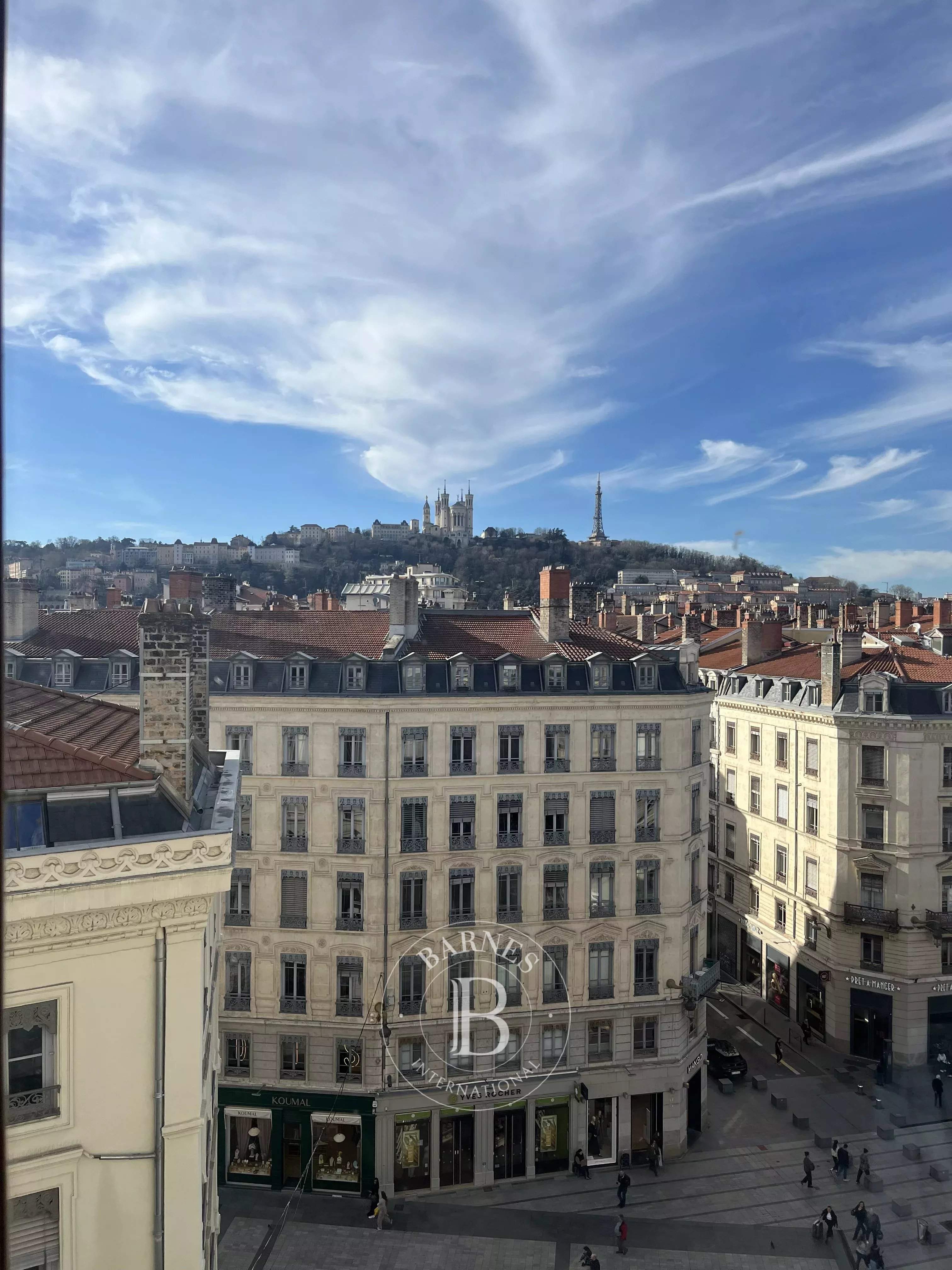 Lyon  - Appartement 6 Pi&egrave;ces 4 Chambres - picture 3