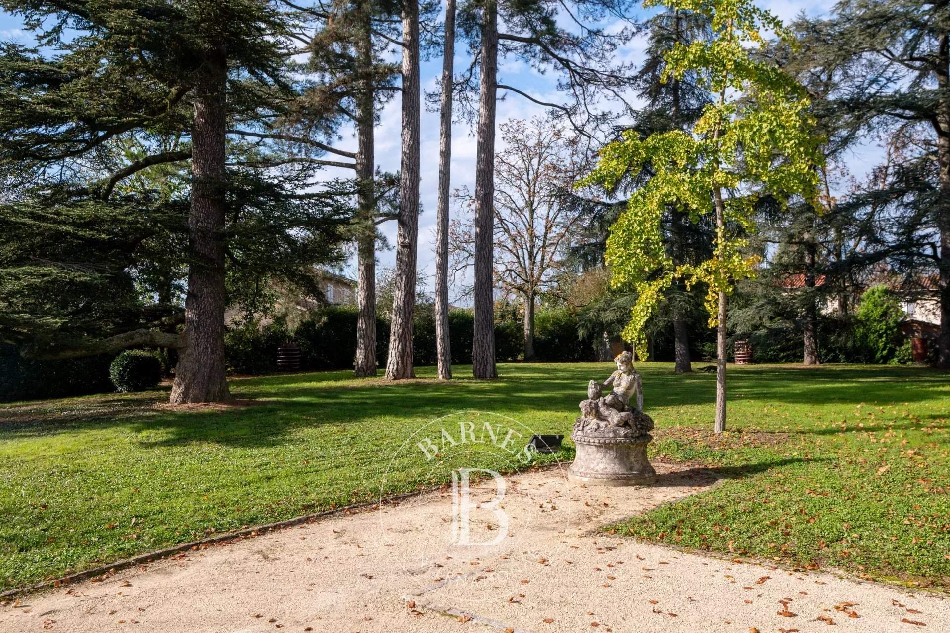 Dommartin  - Propriété 16 Pi&egrave;ces 9 Chambres - picture 8