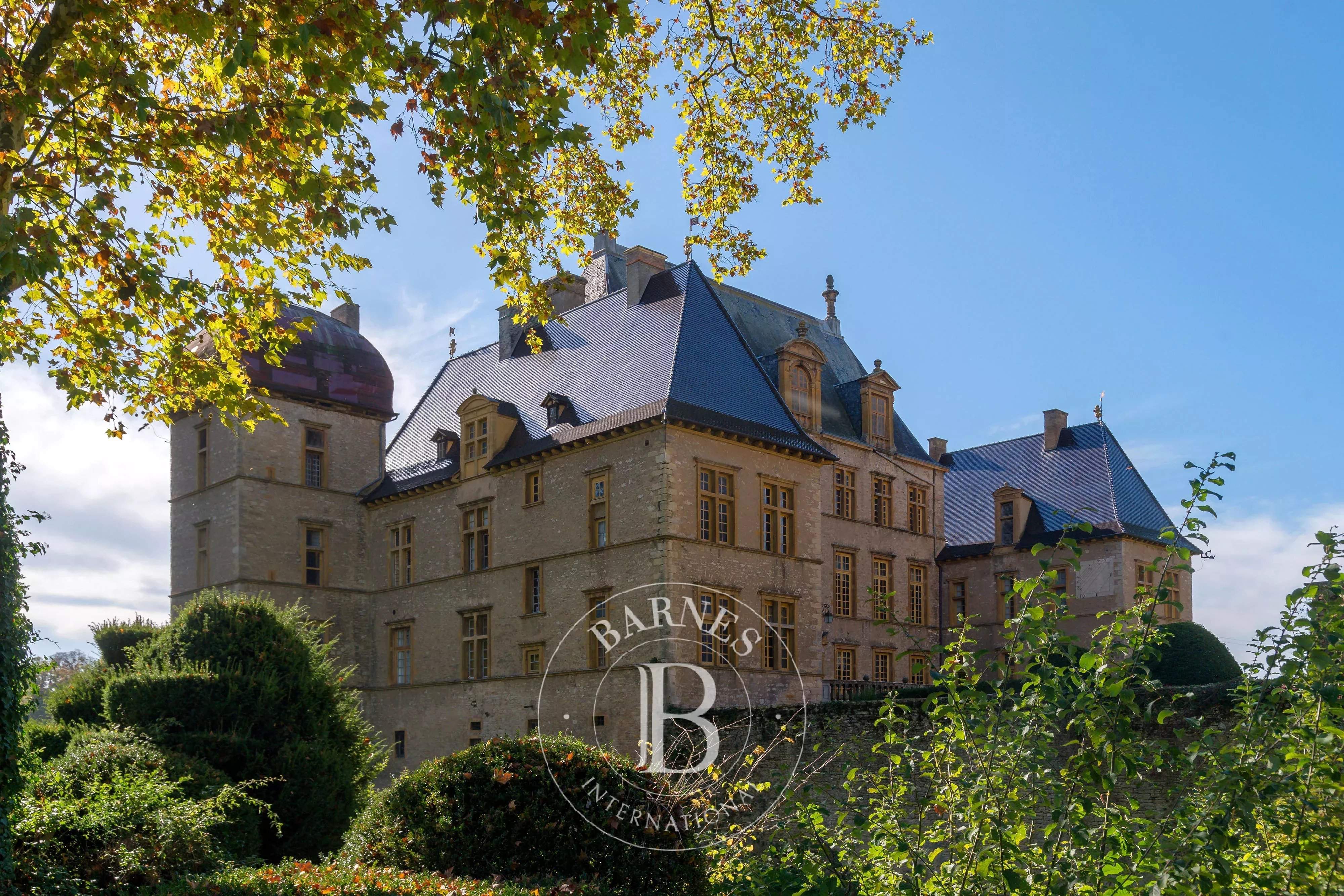 Fareins  - Château 30 Pi&egrave;ces 8 Chambres - picture 12