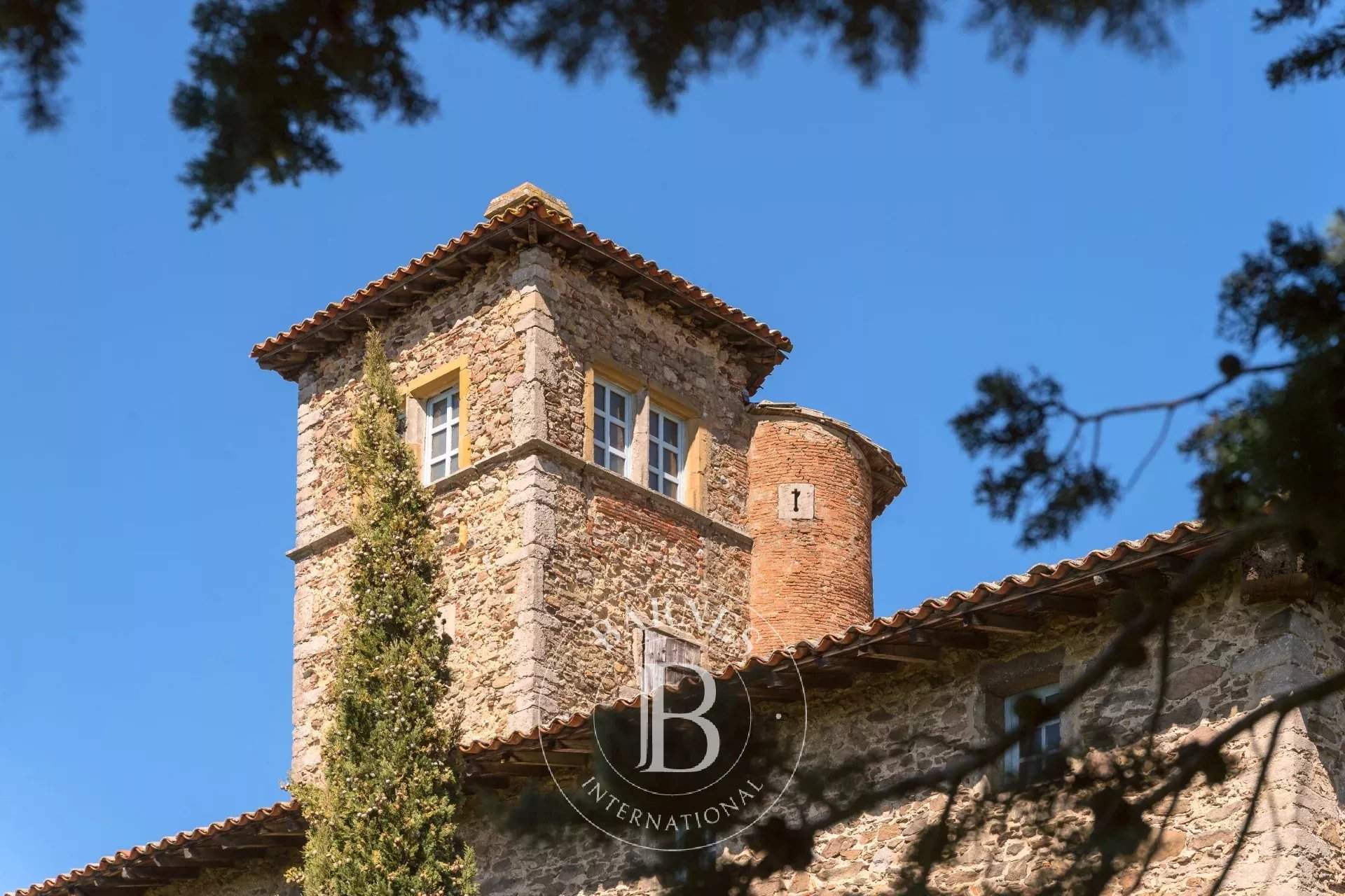 Limonest  - Propriété 20 Pièces 4 Chambres - picture 2