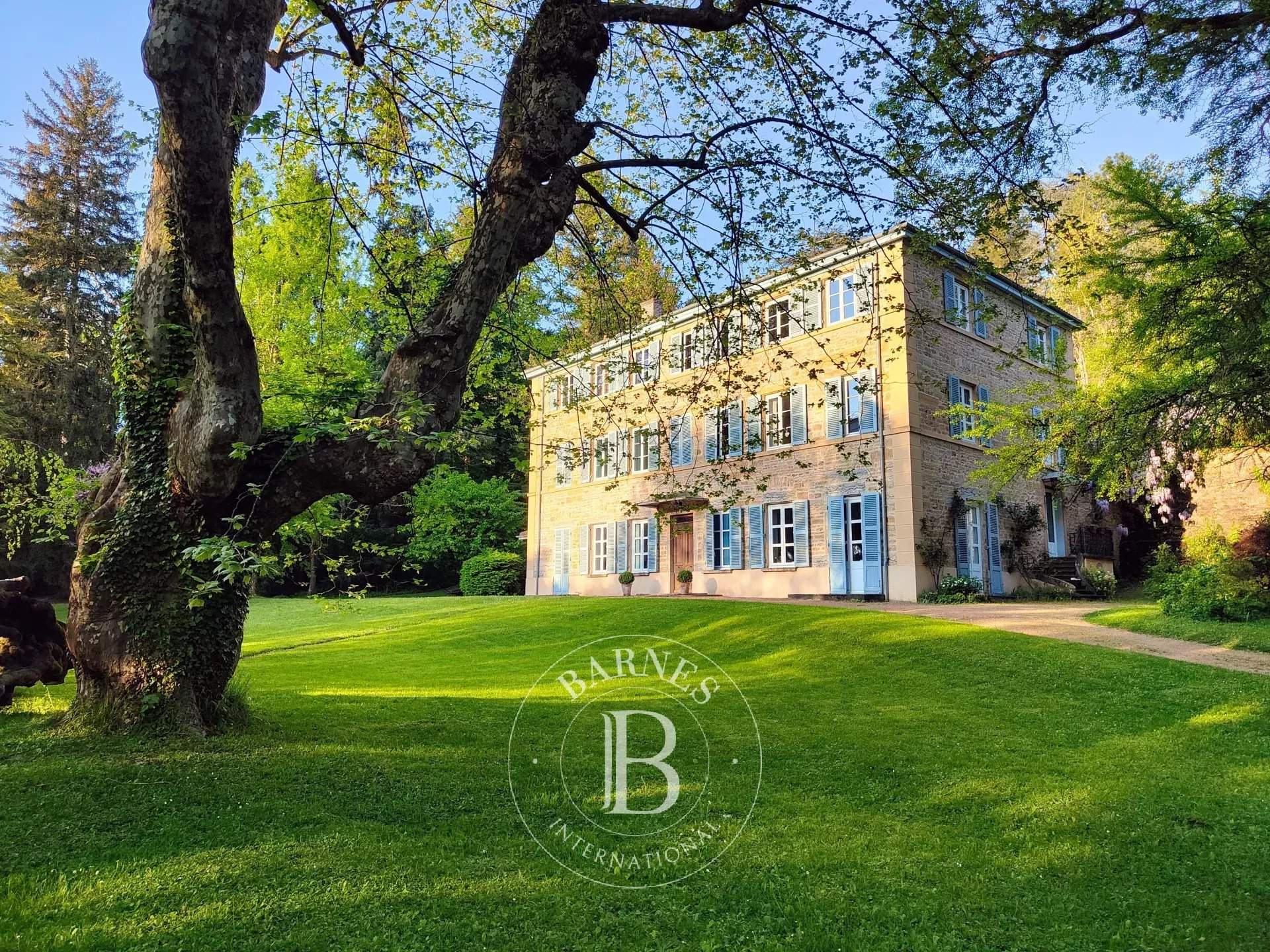 Saint-Cyr-au-Mont-d'Or  - Piso  - picture 1