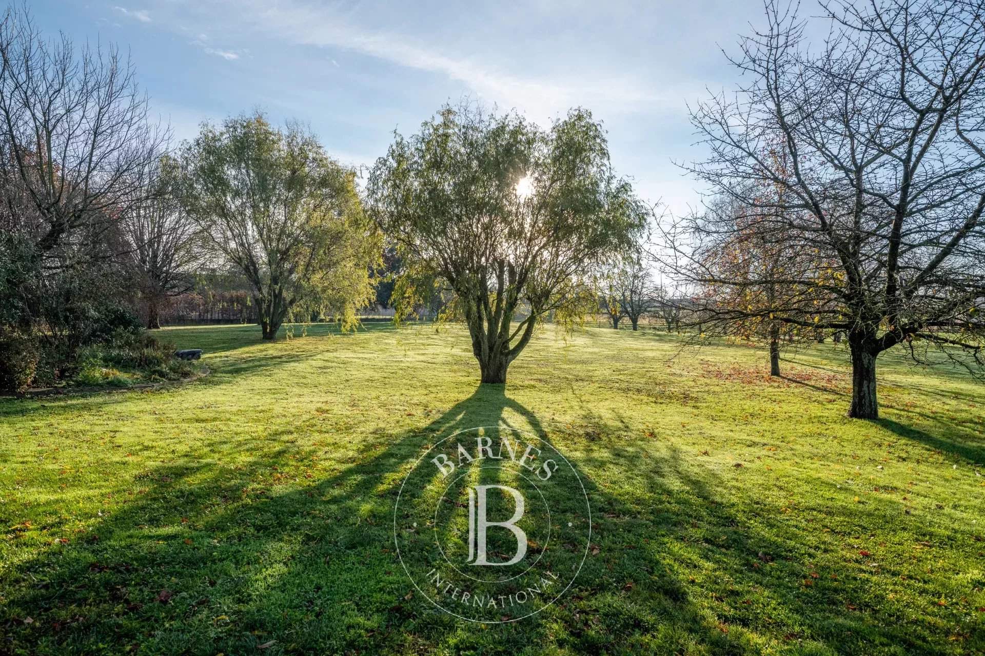 Chaleins  - House 6 Bedrooms - picture 13