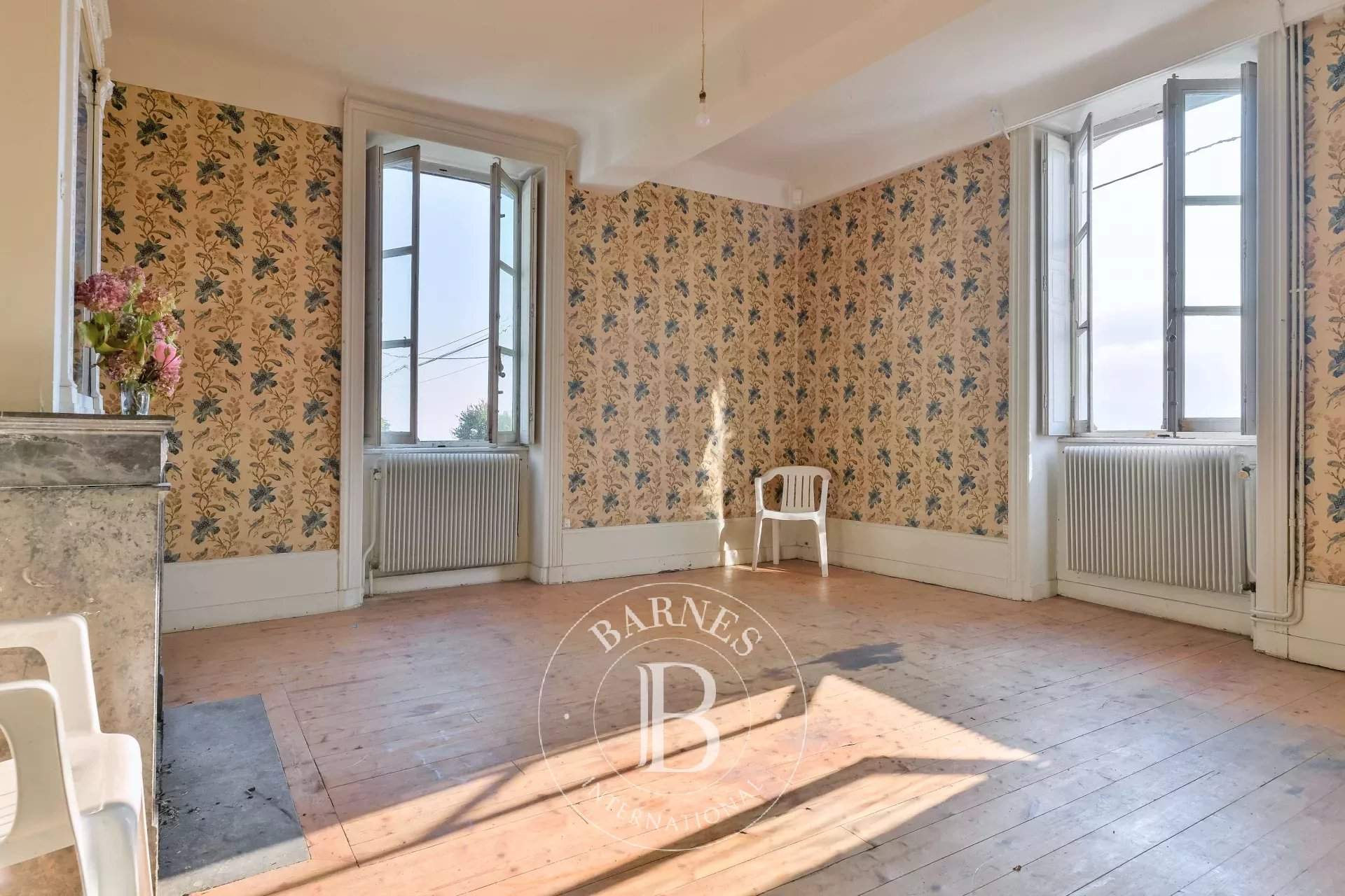 Villié-Morgon  - Vineyard property  - picture 8