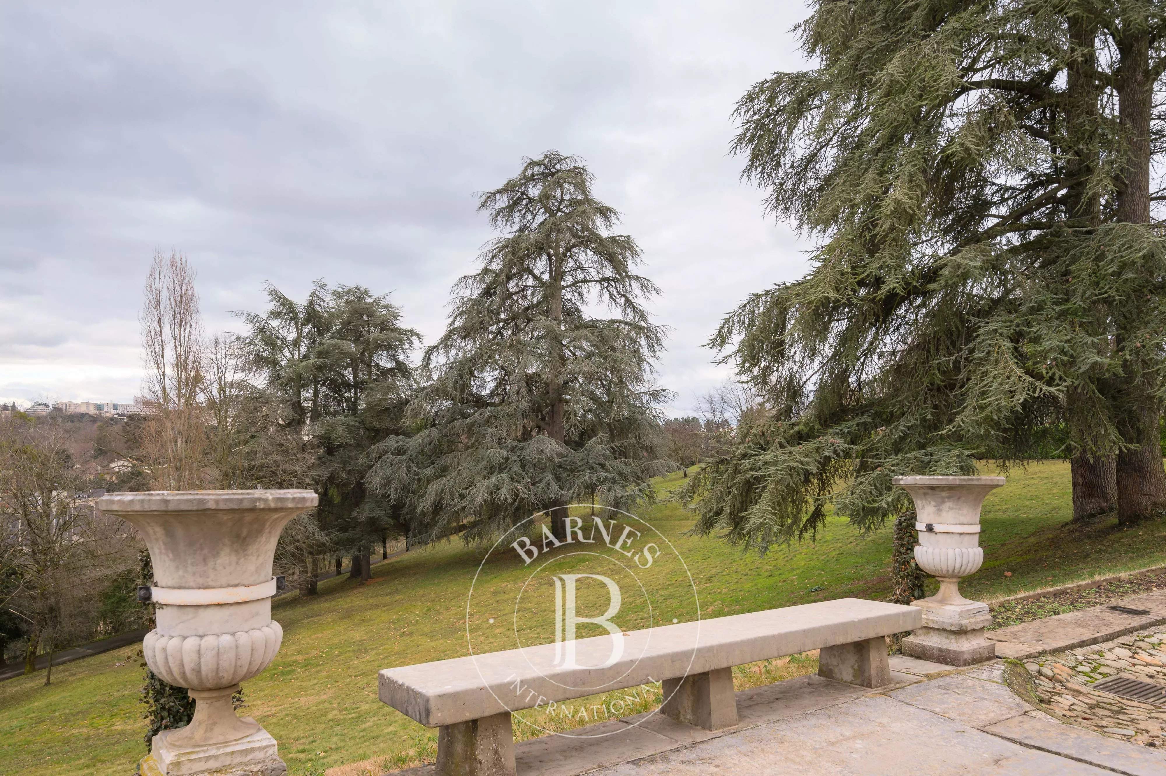 Écully  - Propriété 18 Pi&egrave;ces 14 Chambres - picture 9