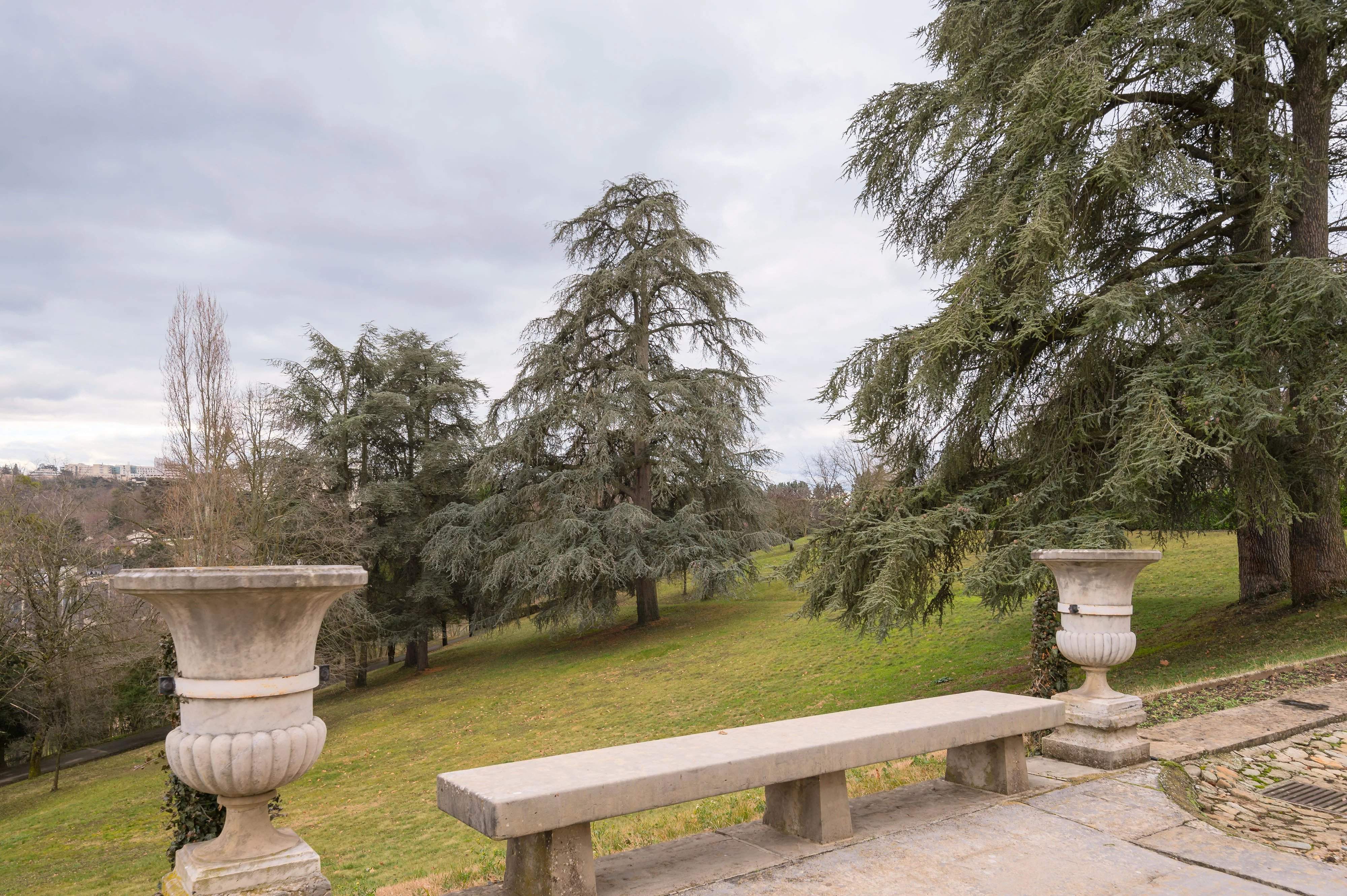 Écully  - Propriété 18 Pi&egrave;ces 14 Chambres - picture 9