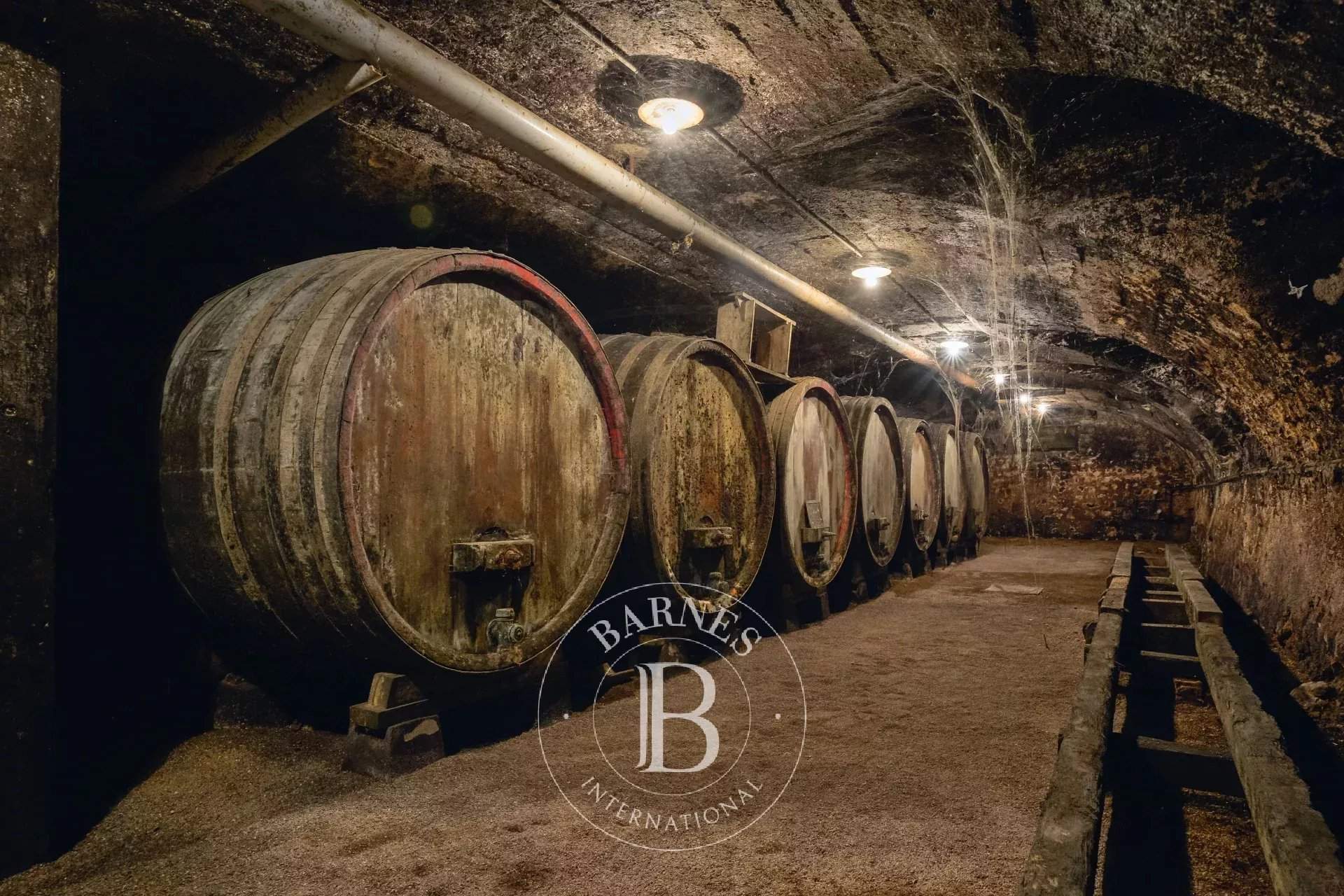 Villié-Morgon  - Vineyard property  - picture 17